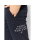 Tommy Hilfiger Teplákové kalhoty Centre Graphic MW0MW24539 Tmavomodrá Regular Fit - Pepit.cz