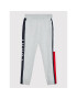 Tommy Hilfiger Teplákové kalhoty KB0KB07491 Šedá Regular Fit - Pepit.cz