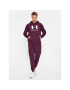 Under Armour Teplákové kalhoty Ua Rival Fleece Joggers 1379774 Bordó Loose Fit - Pepit.cz