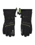 Viking Lyžařské rukavice Hudson Gtx Gloves GORE-TEX 160/22/8282 Černá - Pepit.cz