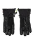 Viking Lyžařské rukavice Hudson Gtx Gloves GORE-TEX 160/22/8282 Černá - Pepit.cz