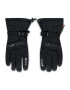 Viking Lyžařské rukavice Hudson Gtx Gloves GORE-TEX 160/22/8282 Černá - Pepit.cz