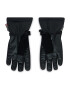 Viking Lyžařské rukavice Hudson Gtx Gloves GORE-TEX 160/22/8282 Černá - Pepit.cz