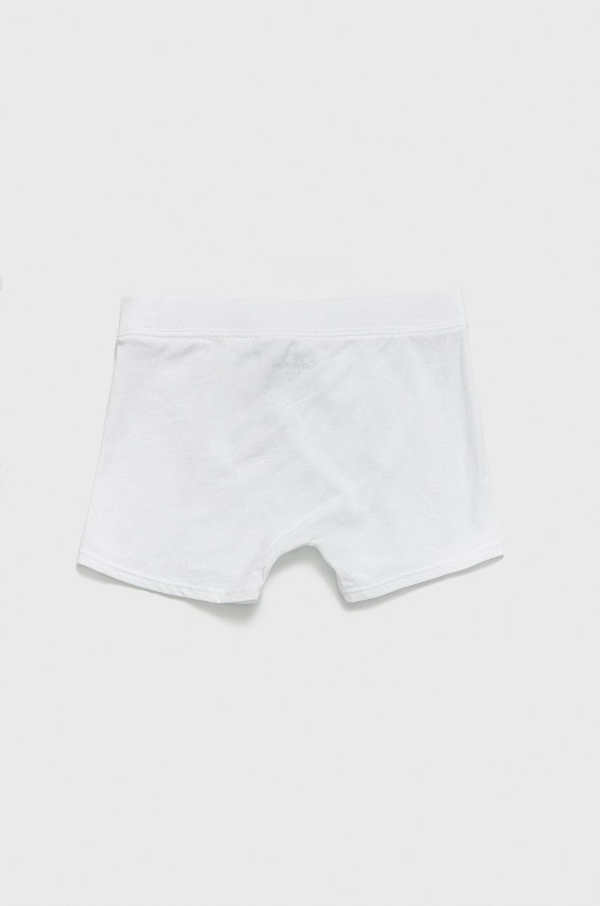 Calvin Klein Underwear Dětské boxerky 2-pack - Pepit.cz