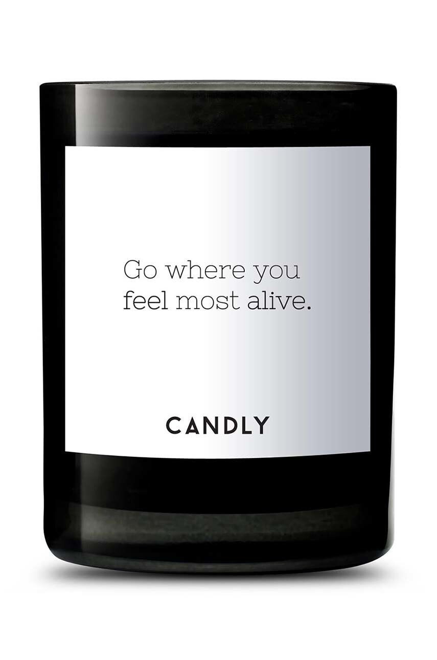 Candly Vonná sójová svíčka Go where you feel most alive. 250 g - Pepit.cz