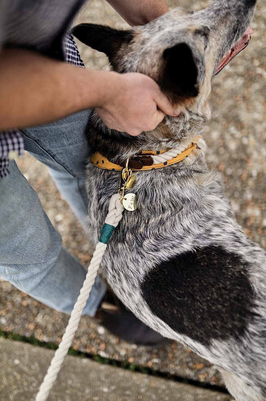 Field + Wander Obojek Rope Leash - Pepit.cz