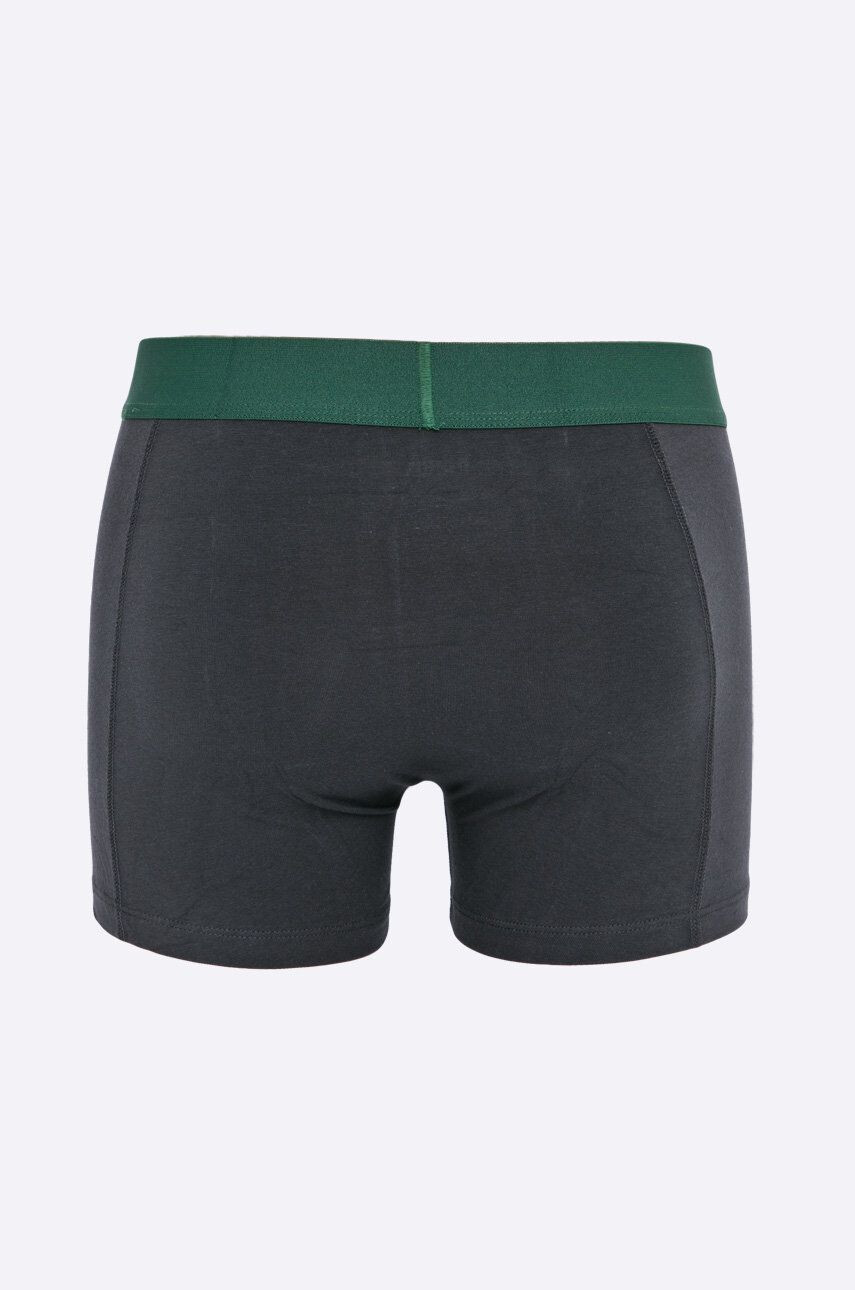 Puma Boxerky Placed logo boxer 2p green (2-pack) 90651904 - Pepit.cz