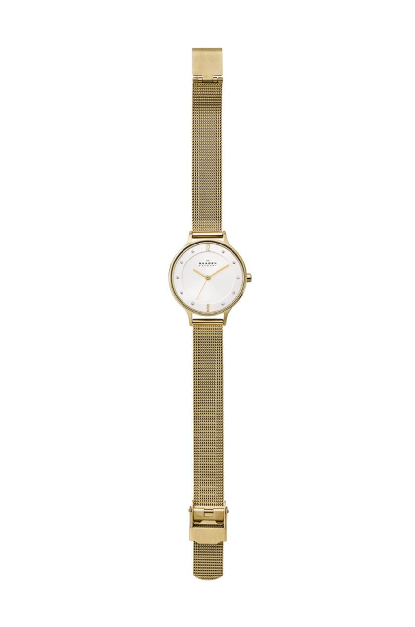 Skagen Hodinky SKW2150 - Pepit.cz