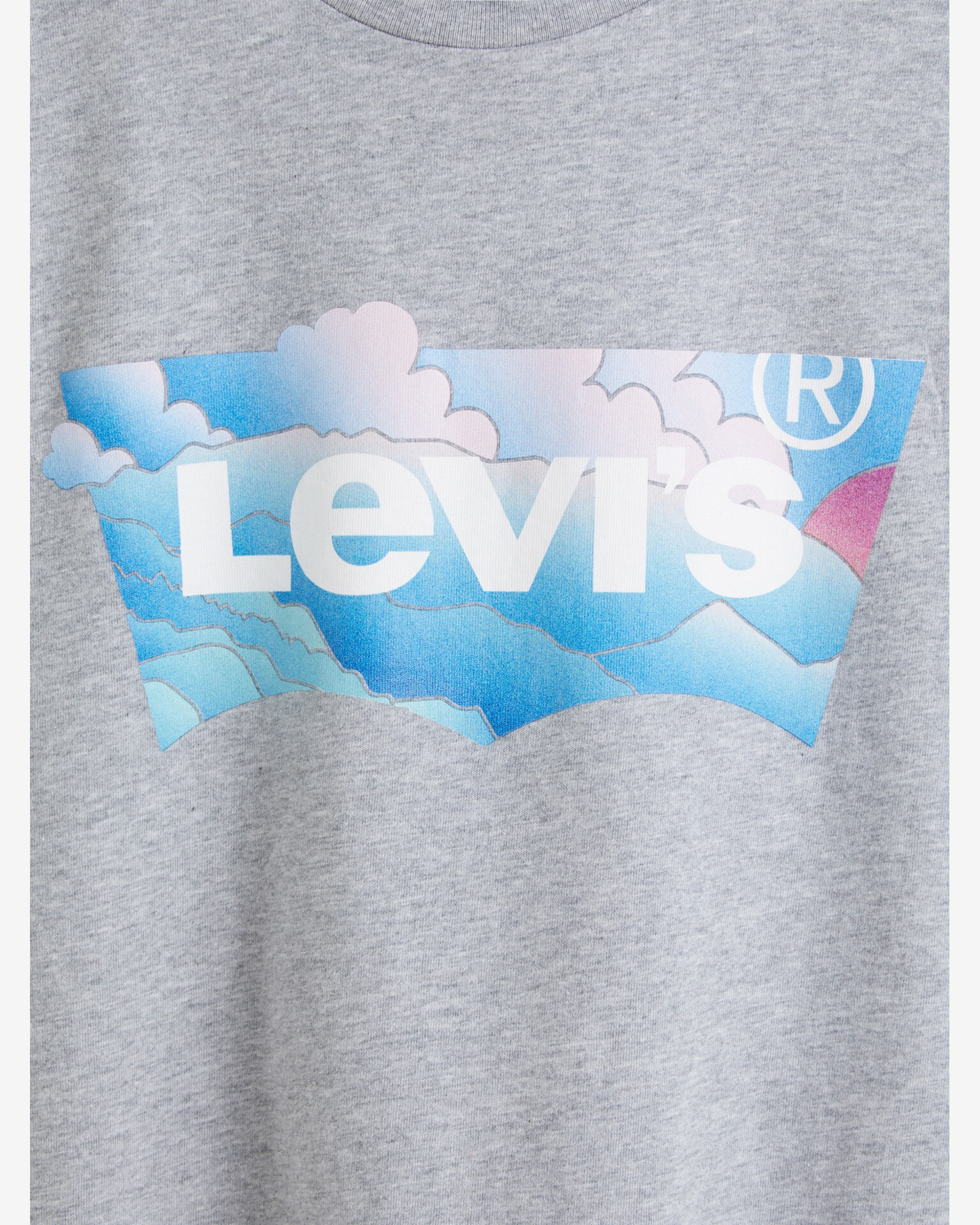 Levi's® Graphic Jordie Triko Šedá - Pepit.cz