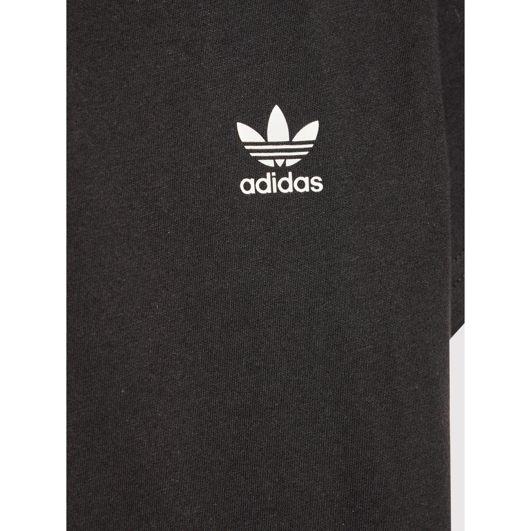 adidas T-Shirt adicolor HC9582 Černá Regular Fit - Pepit.cz