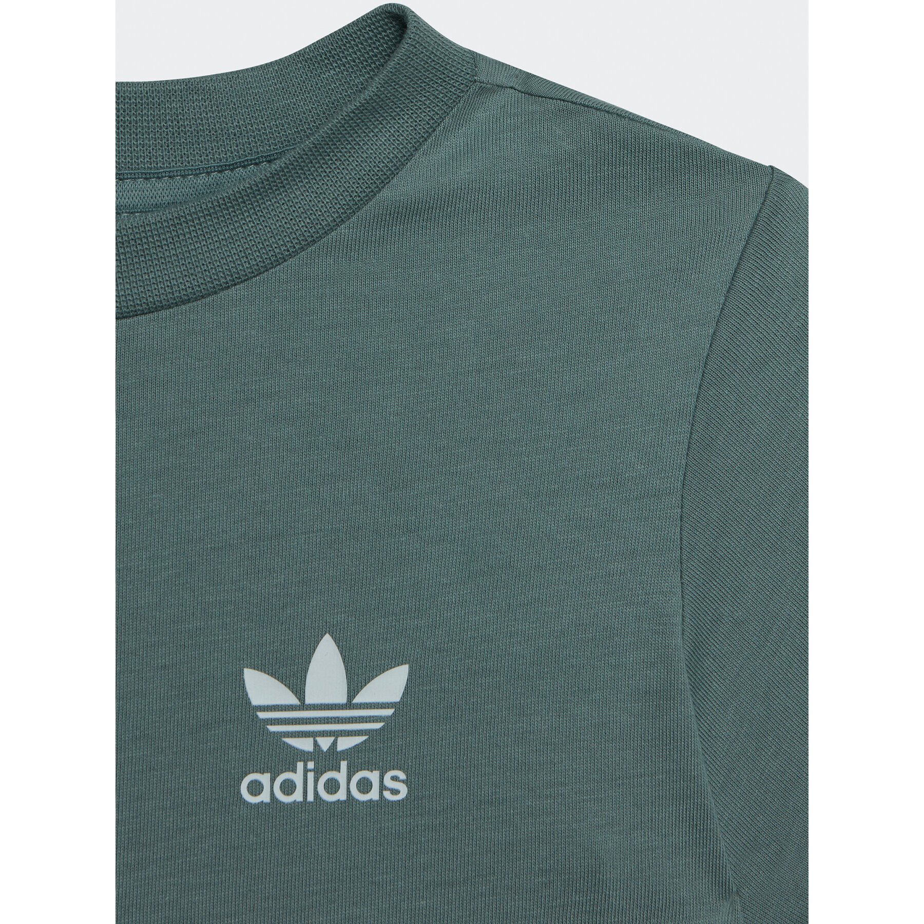 adidas T-Shirt adicolor IC9105 Zelená Regular Fit - Pepit.cz