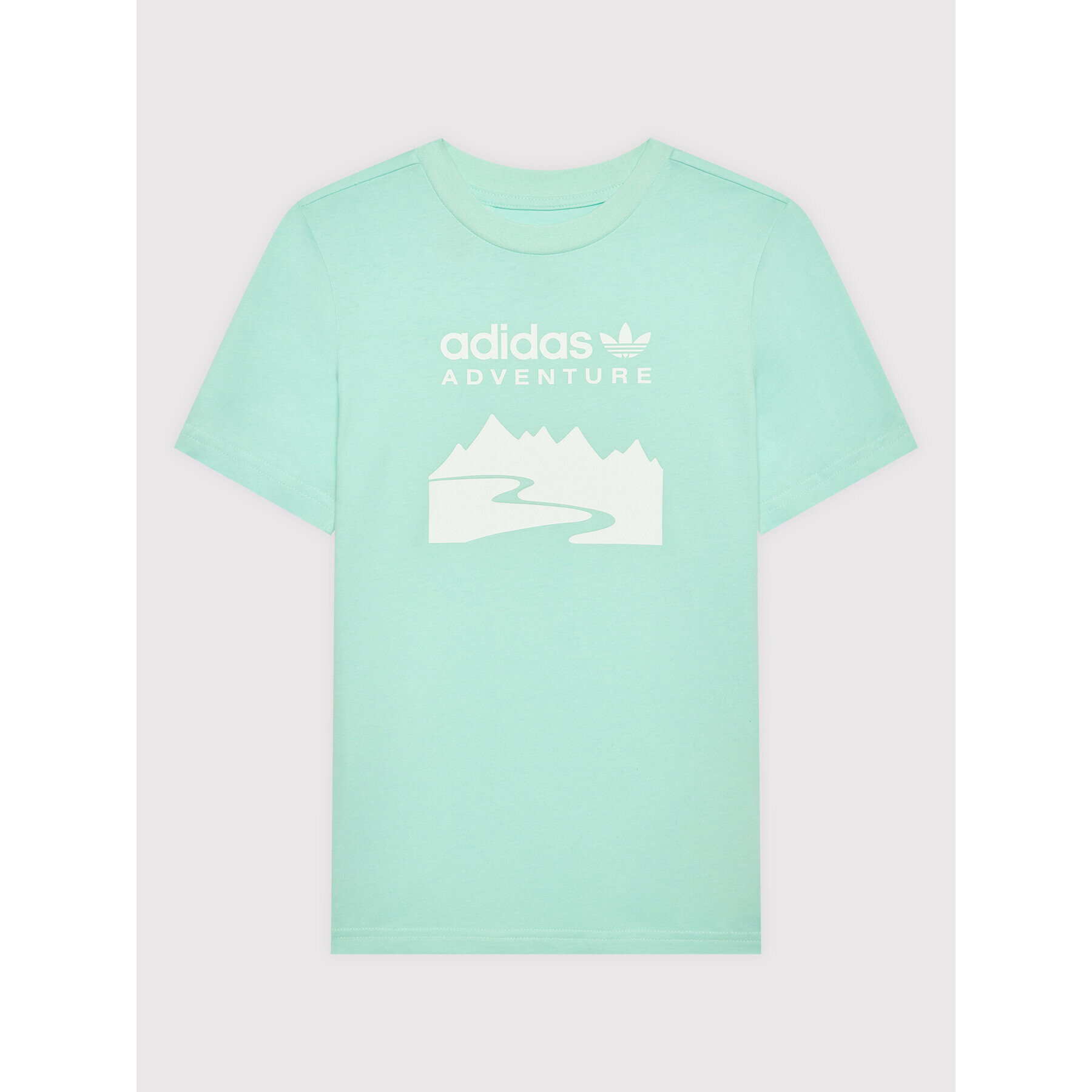 adidas T-Shirt Adventure HE2059 Zelená Regular Fit - Pepit.cz