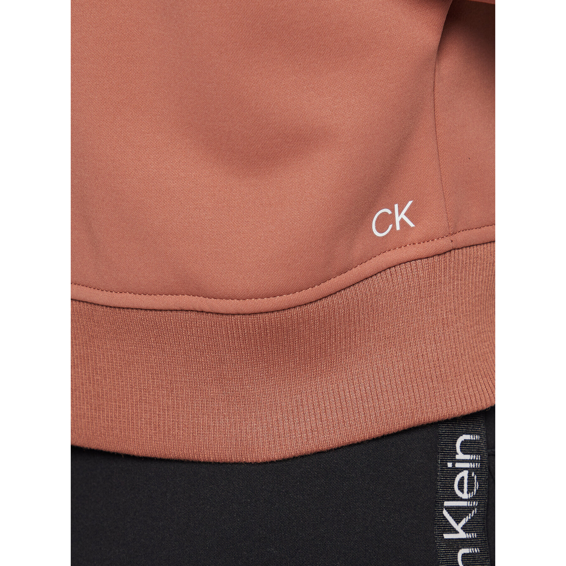 Calvin Klein Performance Mikina 00GWF2W300 Hnědá Regular Fit - Pepit.cz