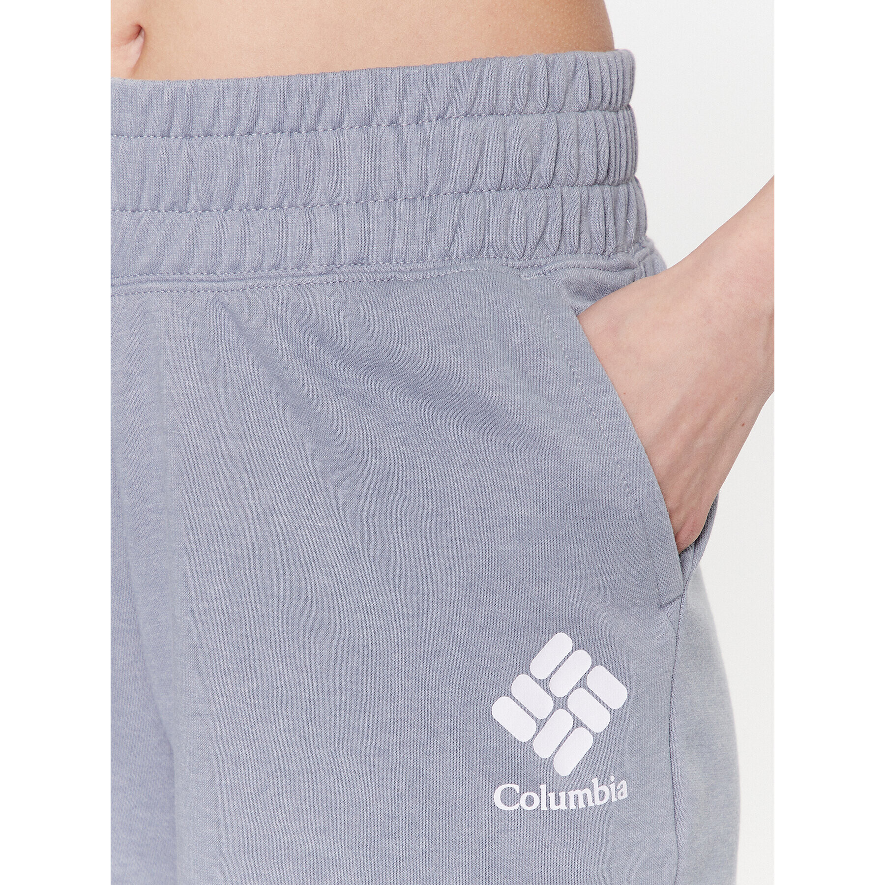 Columbia Sportovní kraťasy Logo III 2032881 Šedá Regular Fit - Pepit.cz