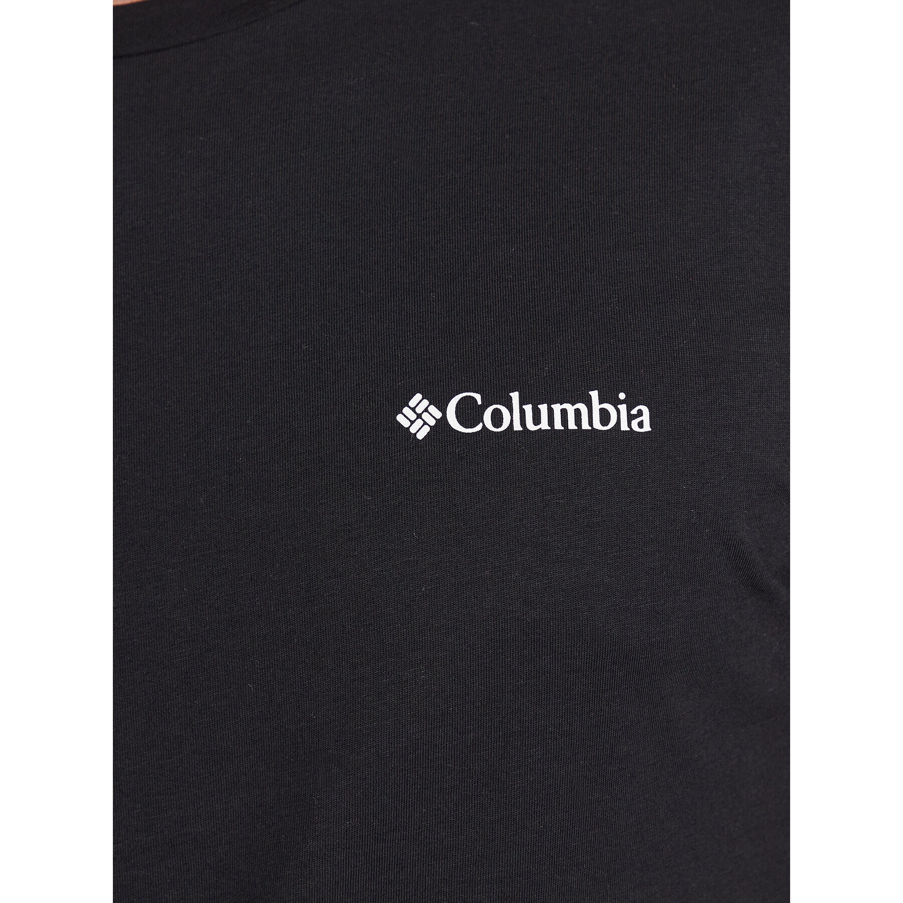 Columbia T-Shirt Rapid Ridge™ Back Graphic Tee II Černá Regular Fit - Pepit.cz