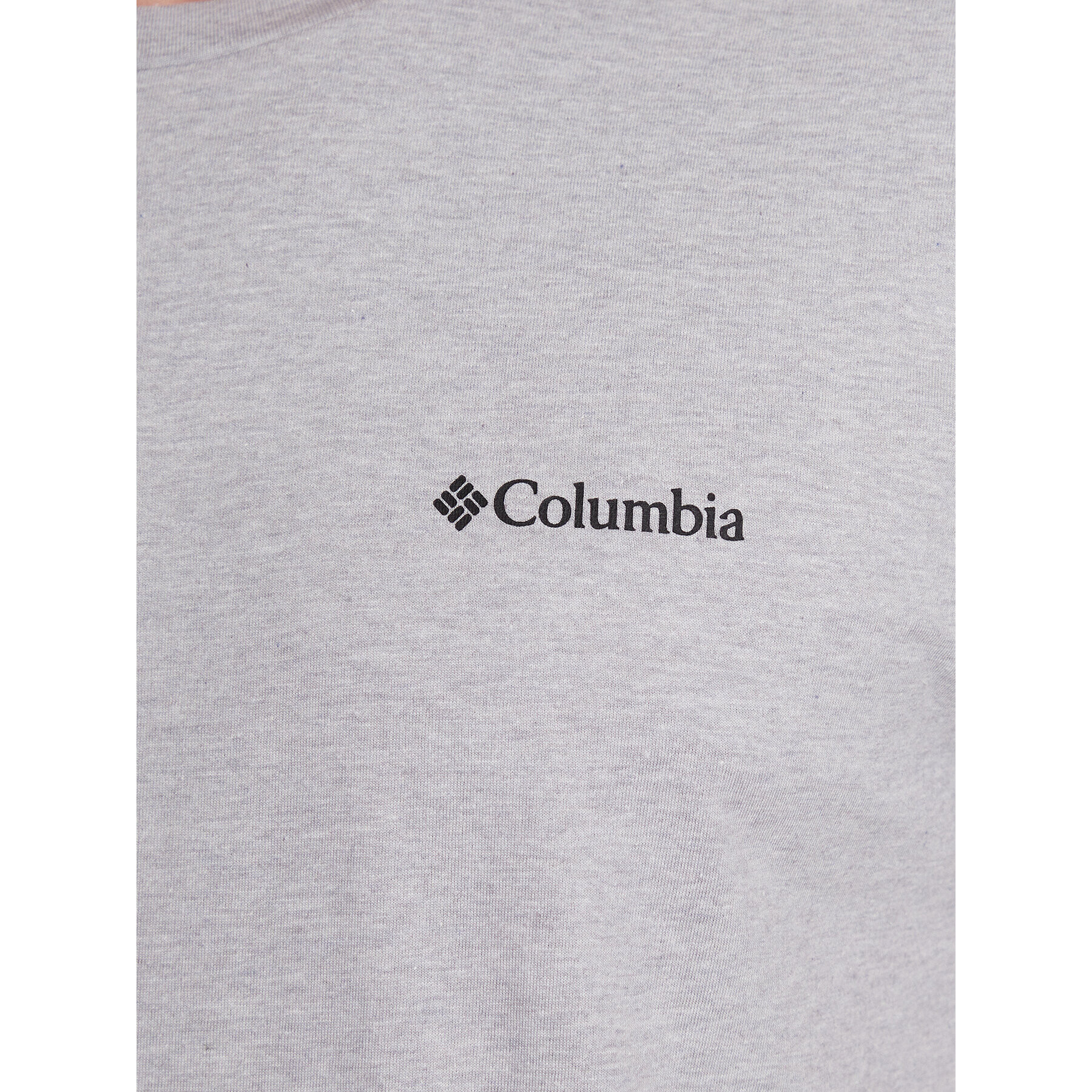 Columbia T-Shirt Rapid Ridge™ Back Graphic Tee II Šedá Regular Fit - Pepit.cz