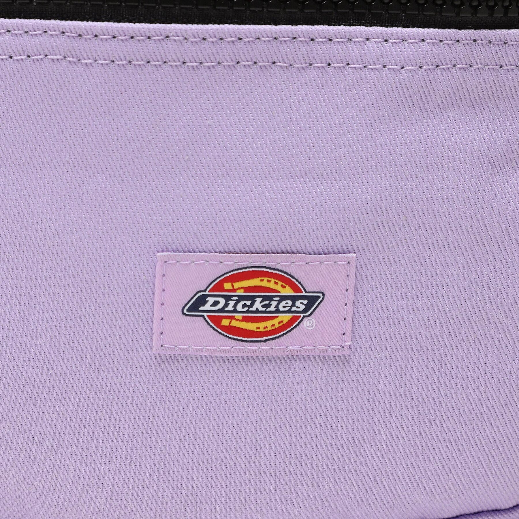 Dickies Ledvinka Blanchard DK0A4X8QE611001 Fialová - Pepit.cz