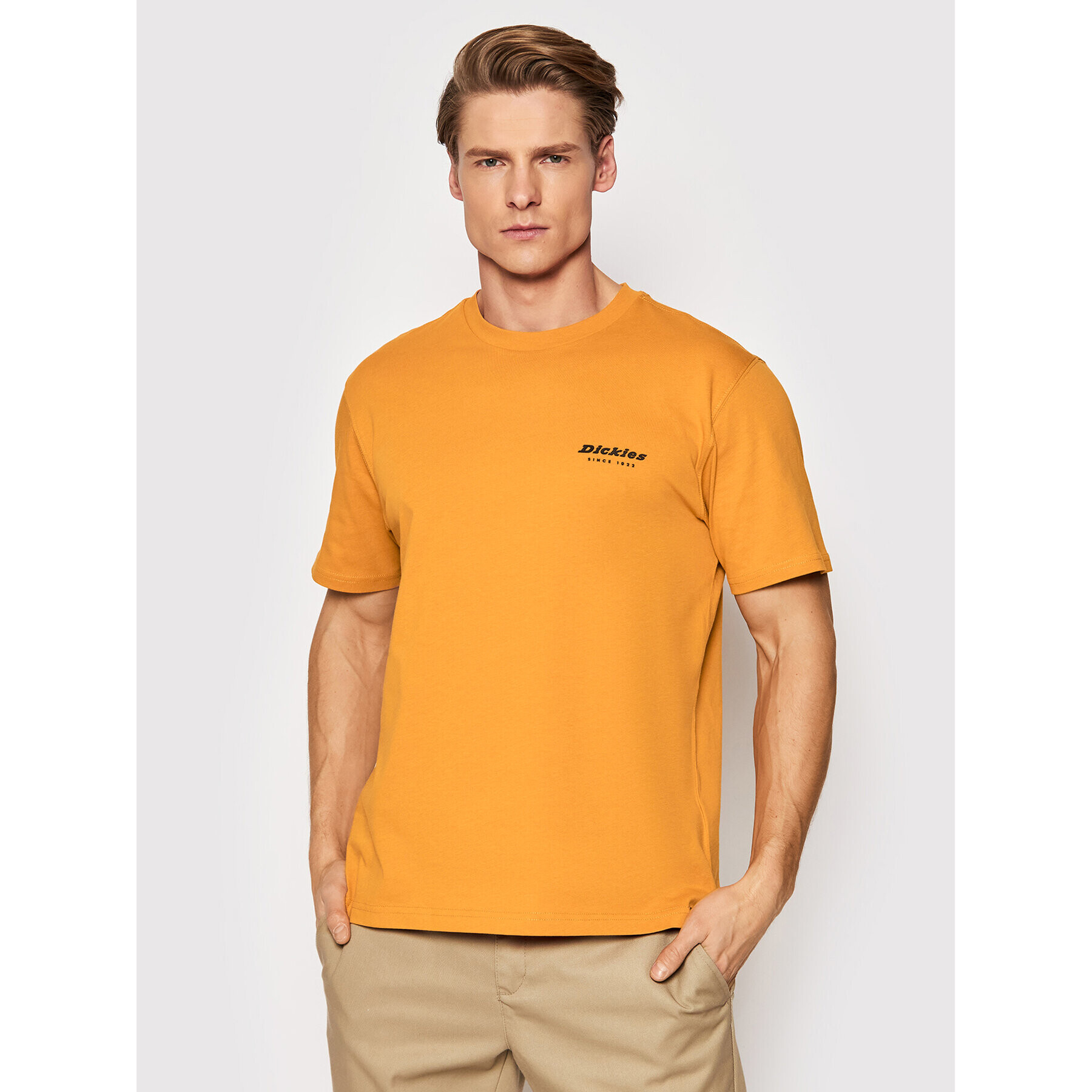 Dickies T-Shirt Artondale DK0A4XNYC38 Oranžová Relaxed Fit - Pepit.cz