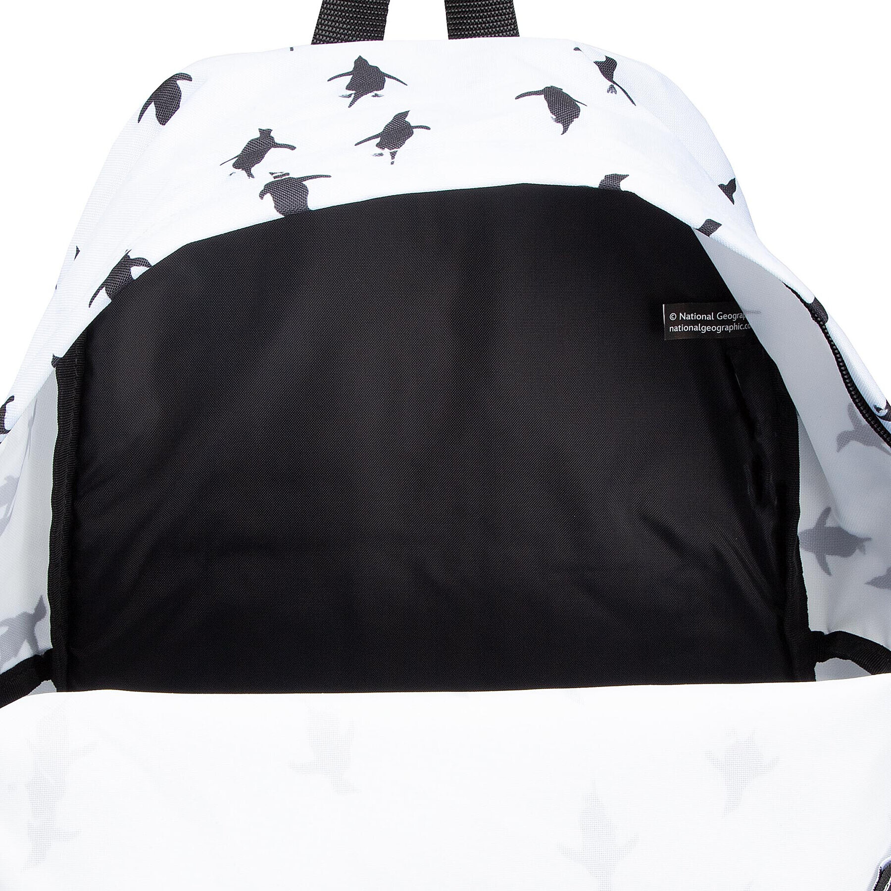 Eastpak Batoh Padded Pak'r EK000620 Modrá - Pepit.cz