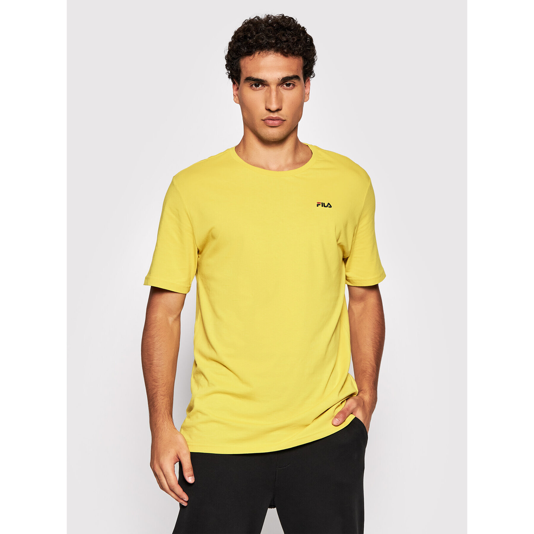 Fila T-Shirt Edgar 689111 Zelená Regular Fit - Pepit.cz