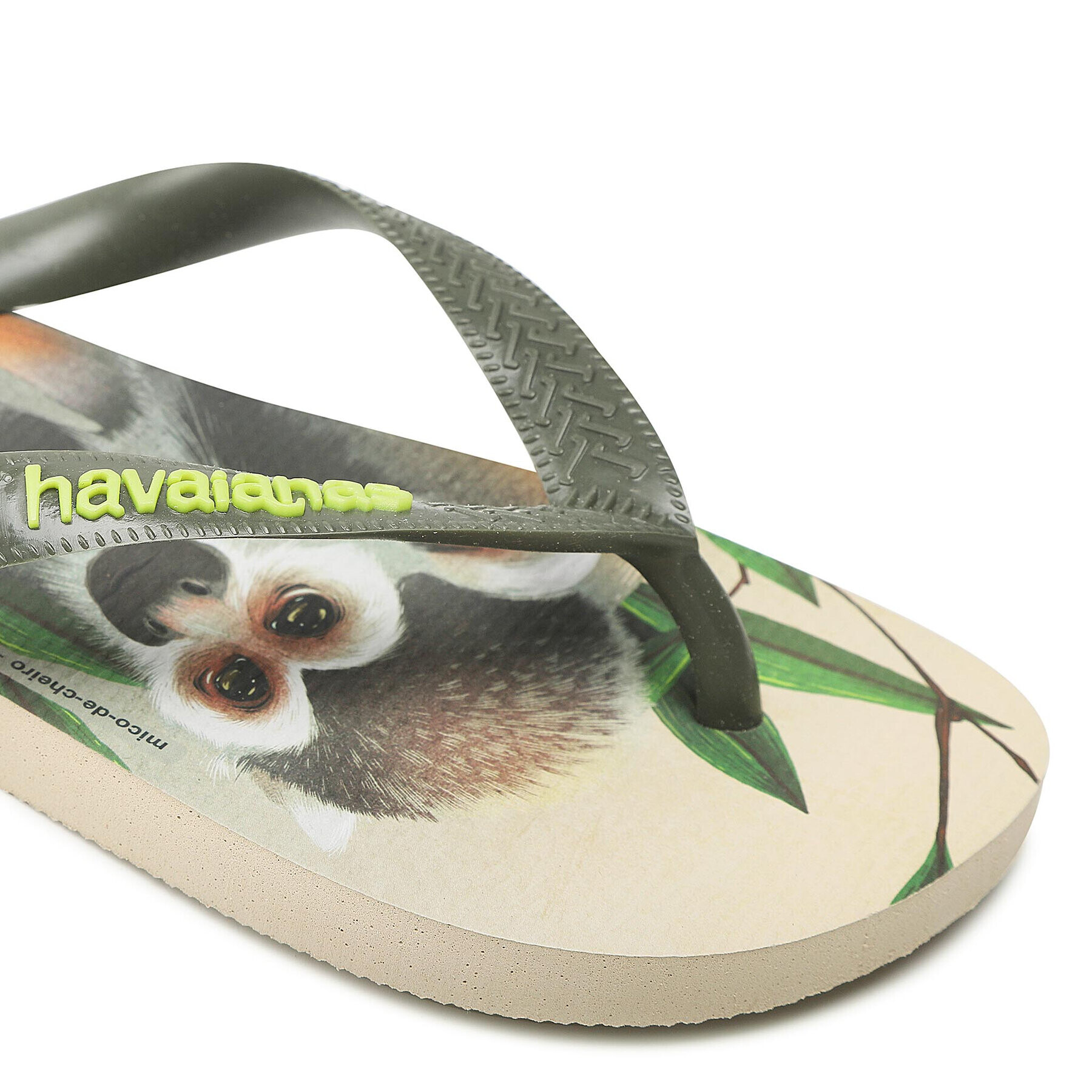 Havaianas Žabky Ipe 40003969635 Zelená - Pepit.cz