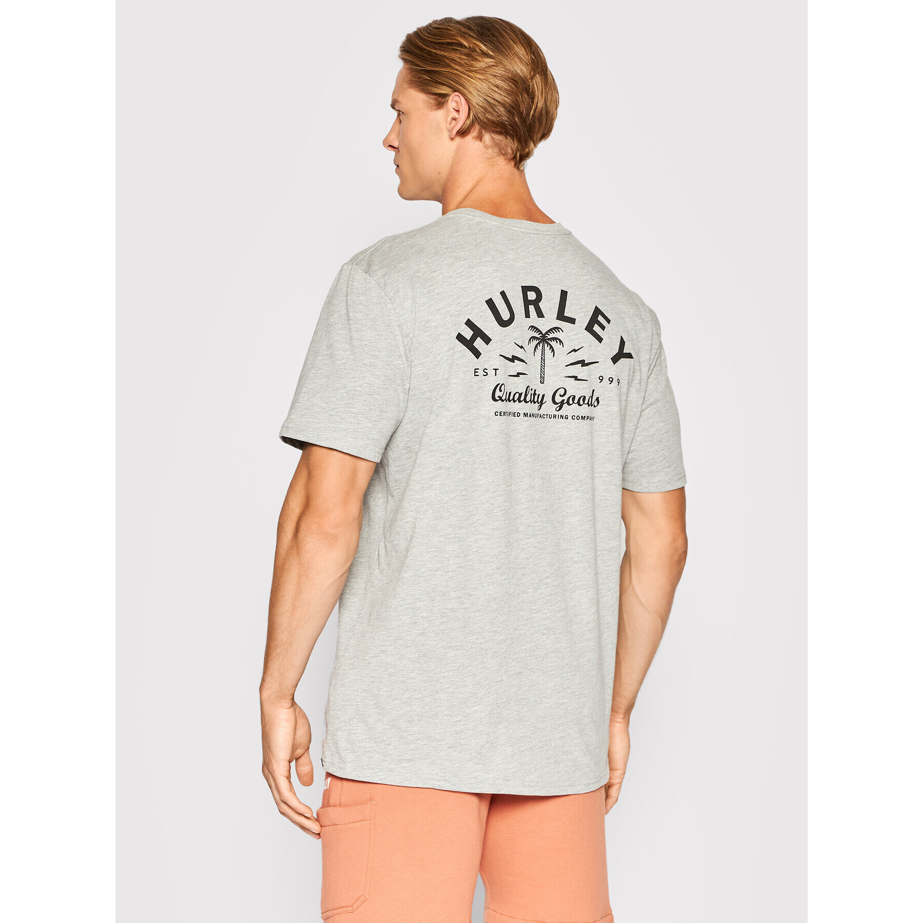 Hurley T-Shirt Quality Goods AMTS22Q1QG Šedá Regular Fit - Pepit.cz