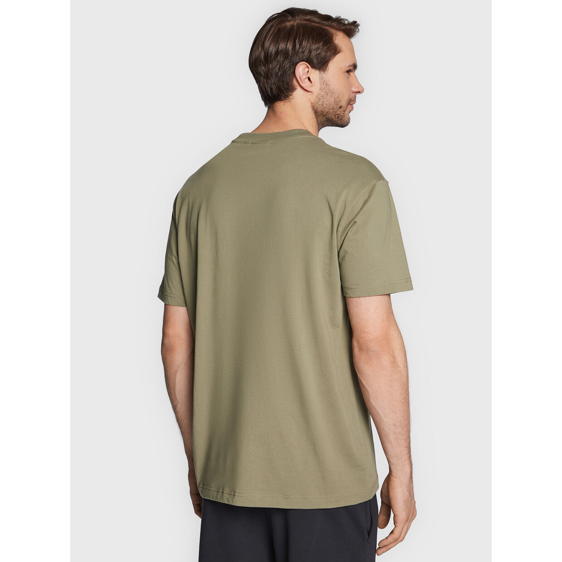 Napapijri T-Shirt S-Back Country Ss NP0A4GM1 Zelená Regular Fit - Pepit.cz