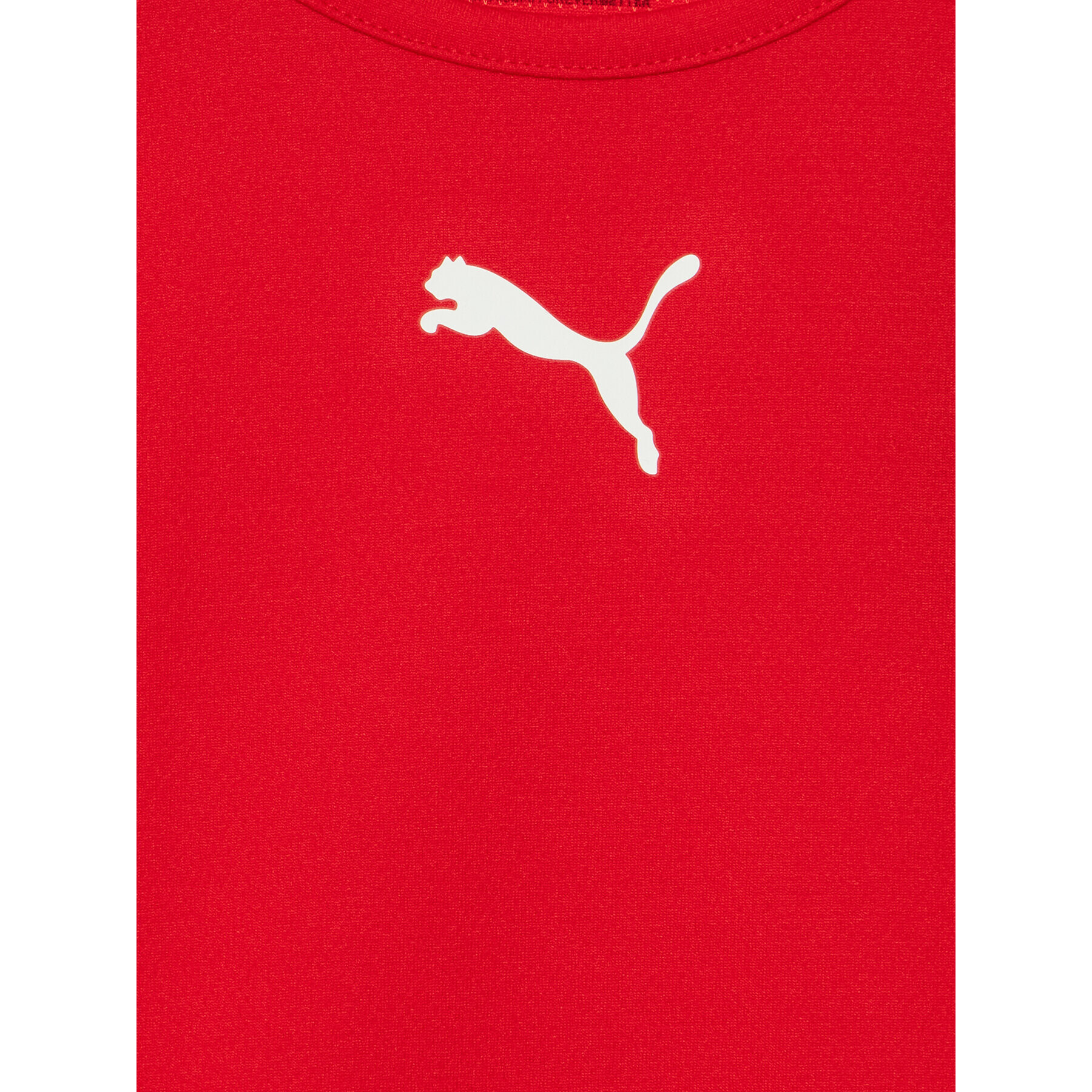 Puma Funkční tričko Teamrise 704938 Červená Regular Fit - Pepit.cz