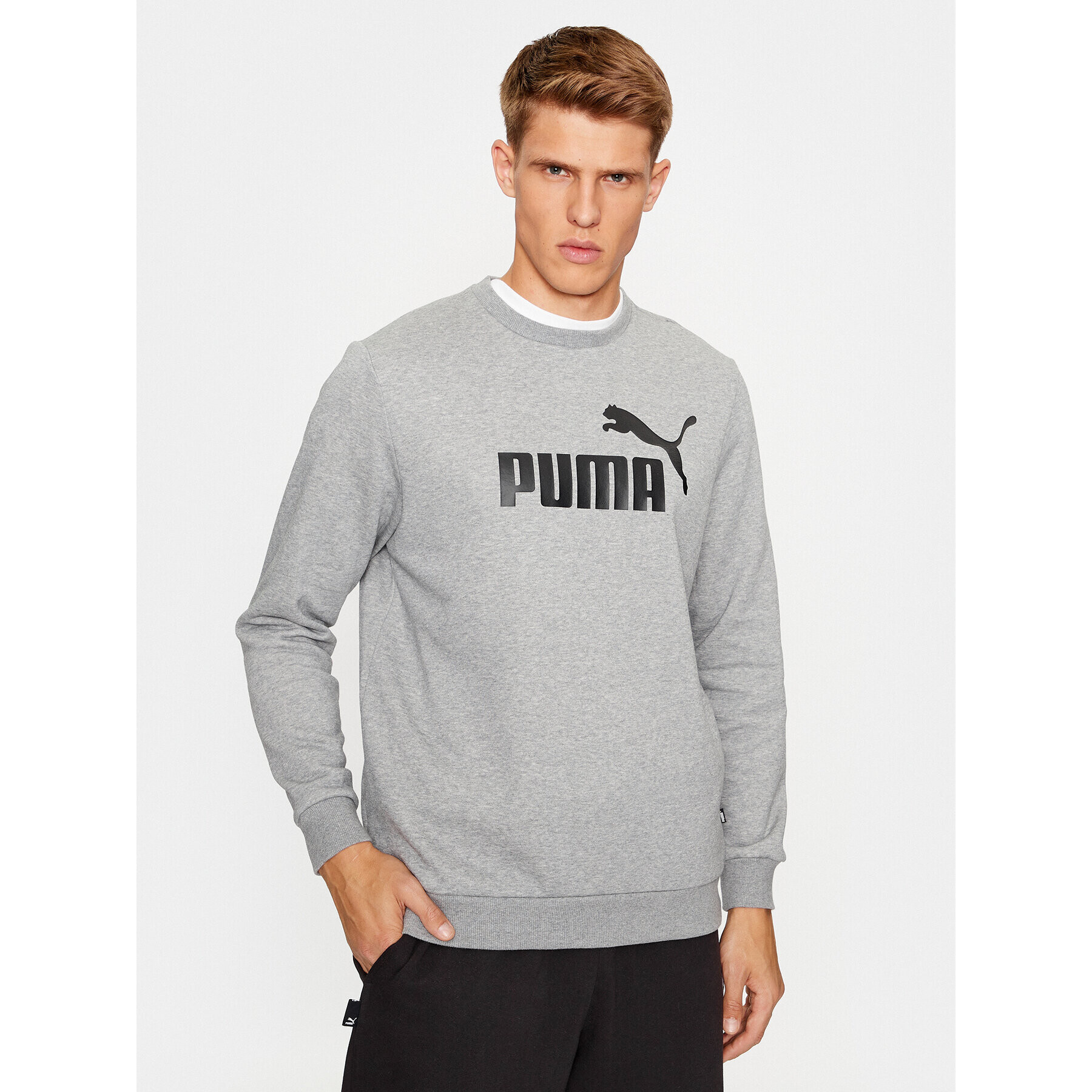 Puma Mikina Ess Big Logo 586678 Šedá Regular Fit - Pepit.cz