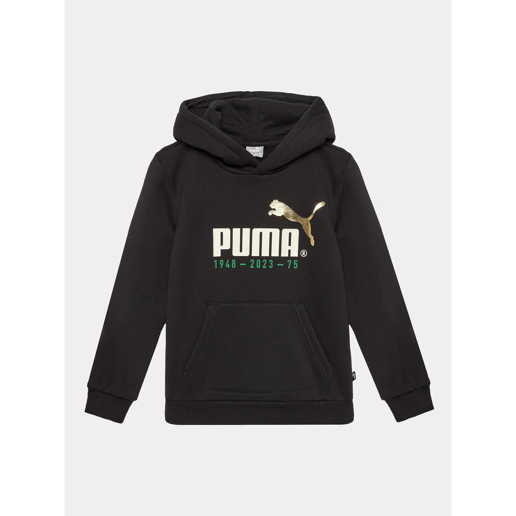 Puma Mikina No.1 Logo Celebration 676826 Černá Regular Fit - Pepit.cz