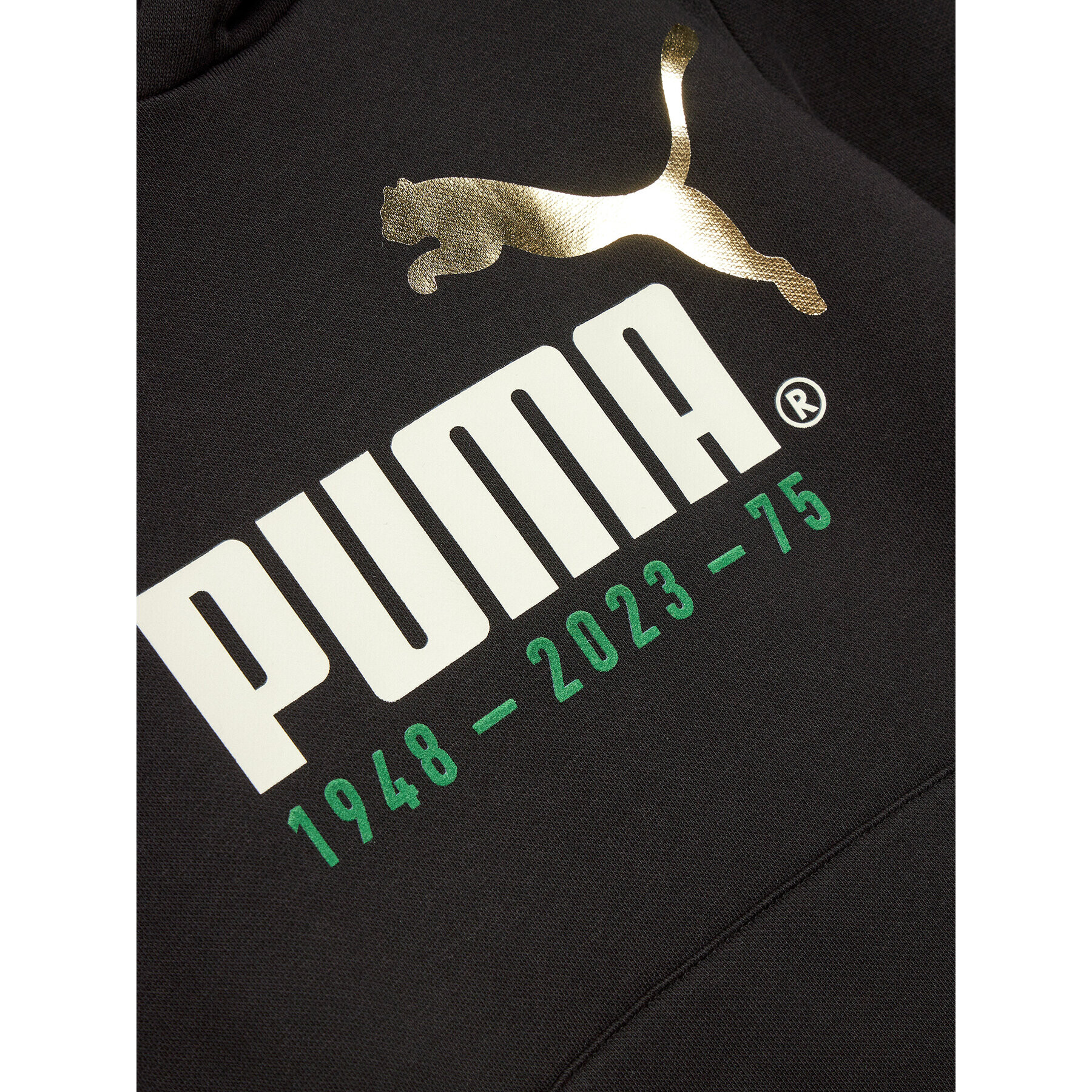 Puma Mikina No.1 Logo Celebration 676826 Černá Regular Fit - Pepit.cz