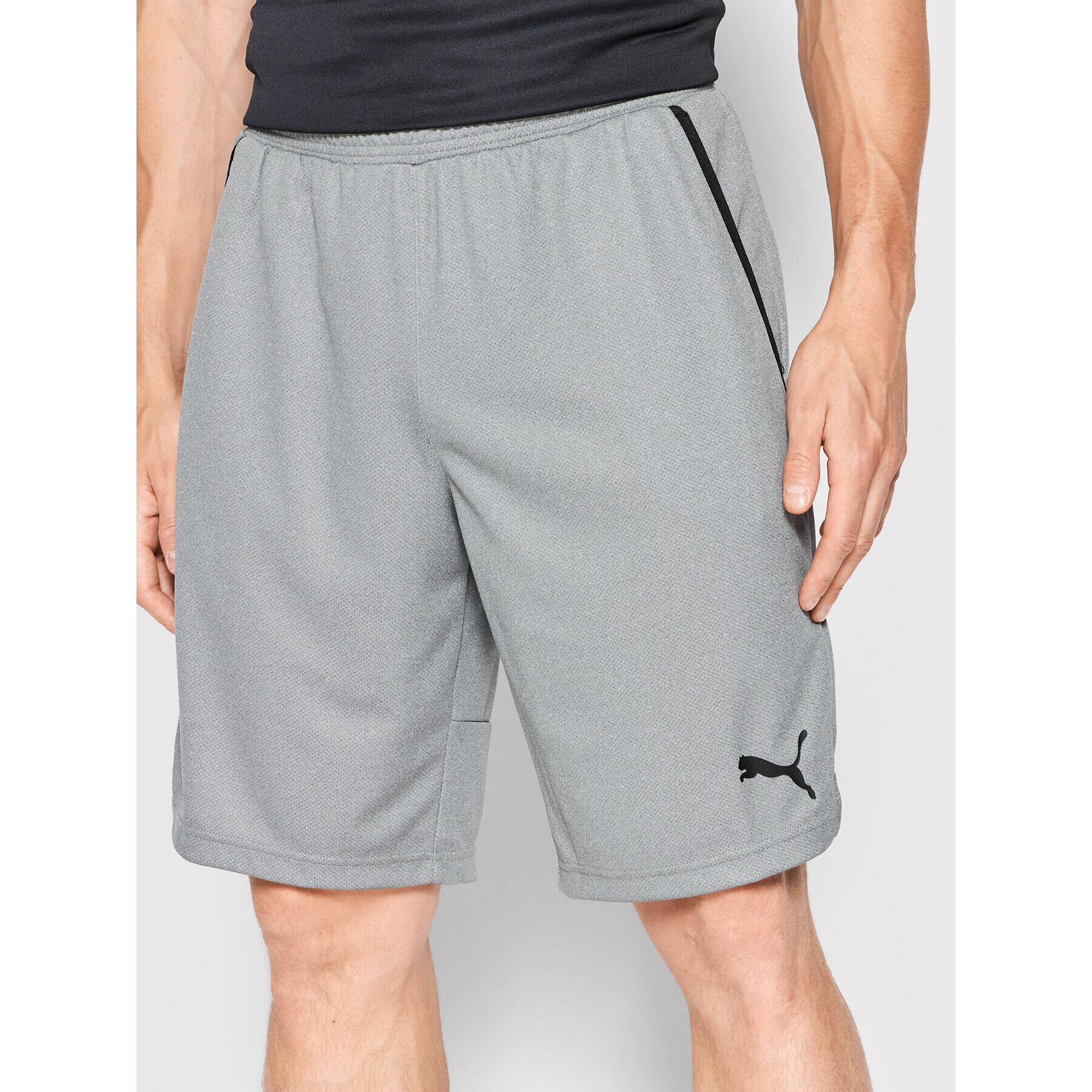 Puma Sportovní kraťasy Rtg Interlock 585835 Šedá Regular Fit - Pepit.cz