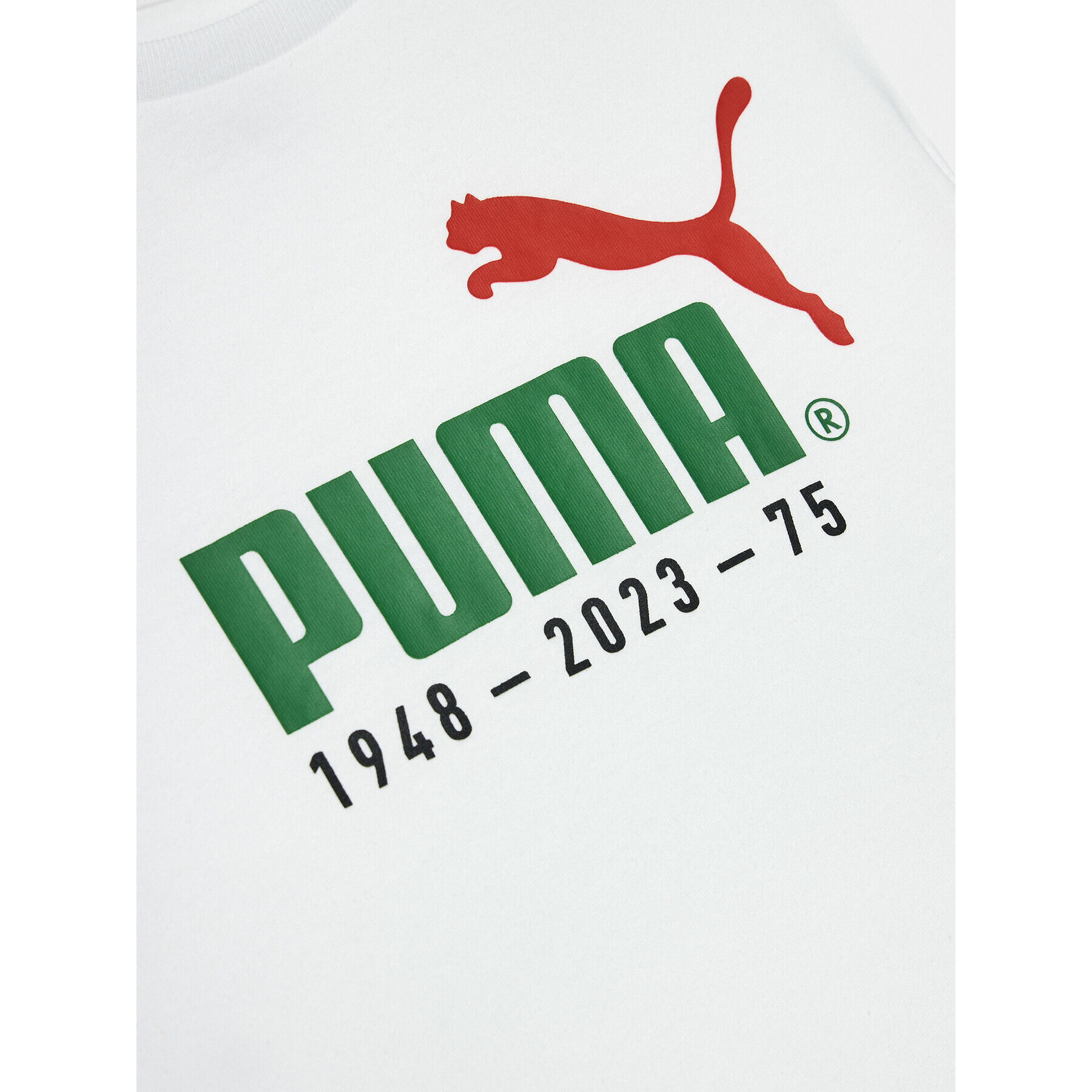 Puma T-Shirt 676825 Bílá Regular Fit - Pepit.cz