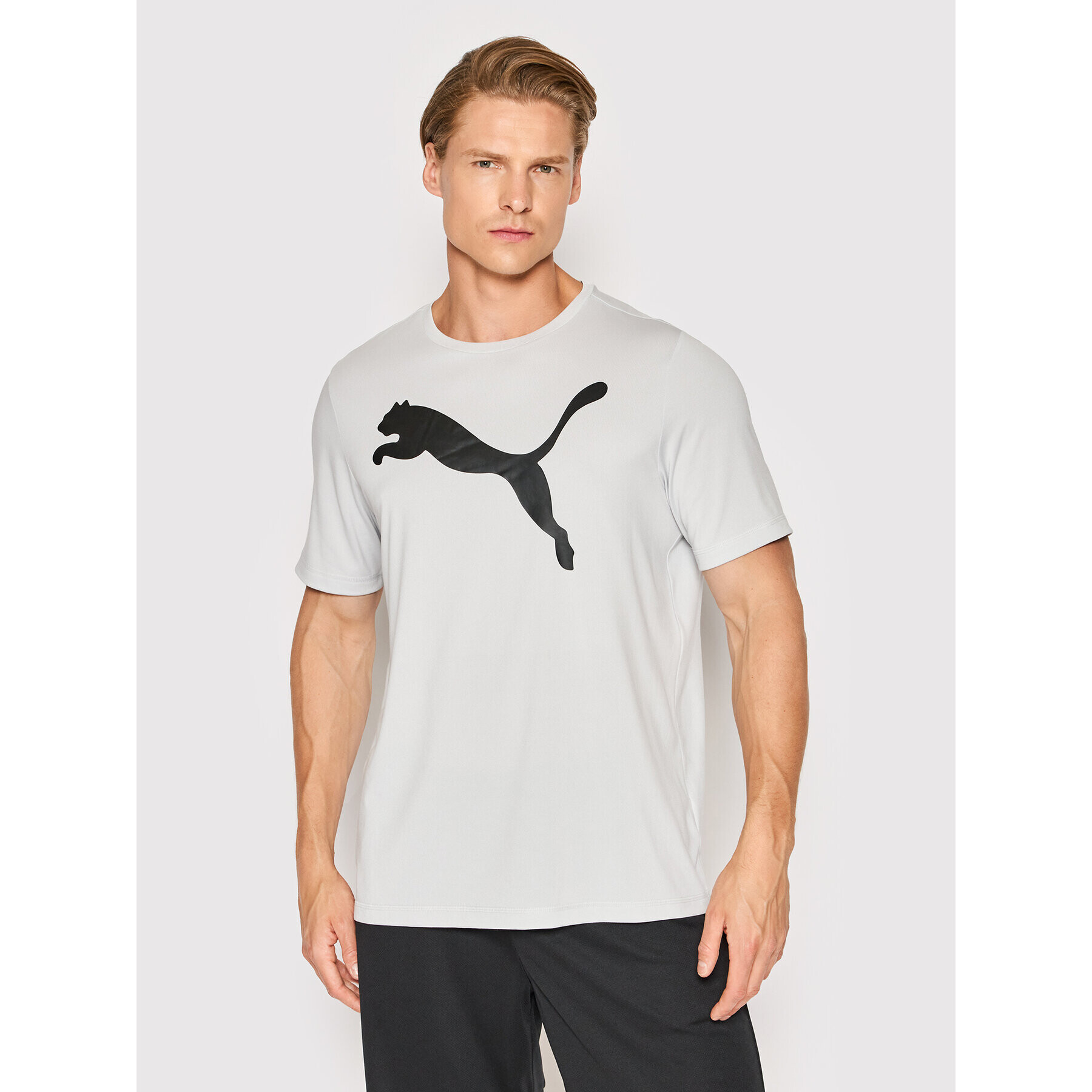 Puma T-Shirt Active Big Logo 586724 Šedá Regular Fit - Pepit.cz