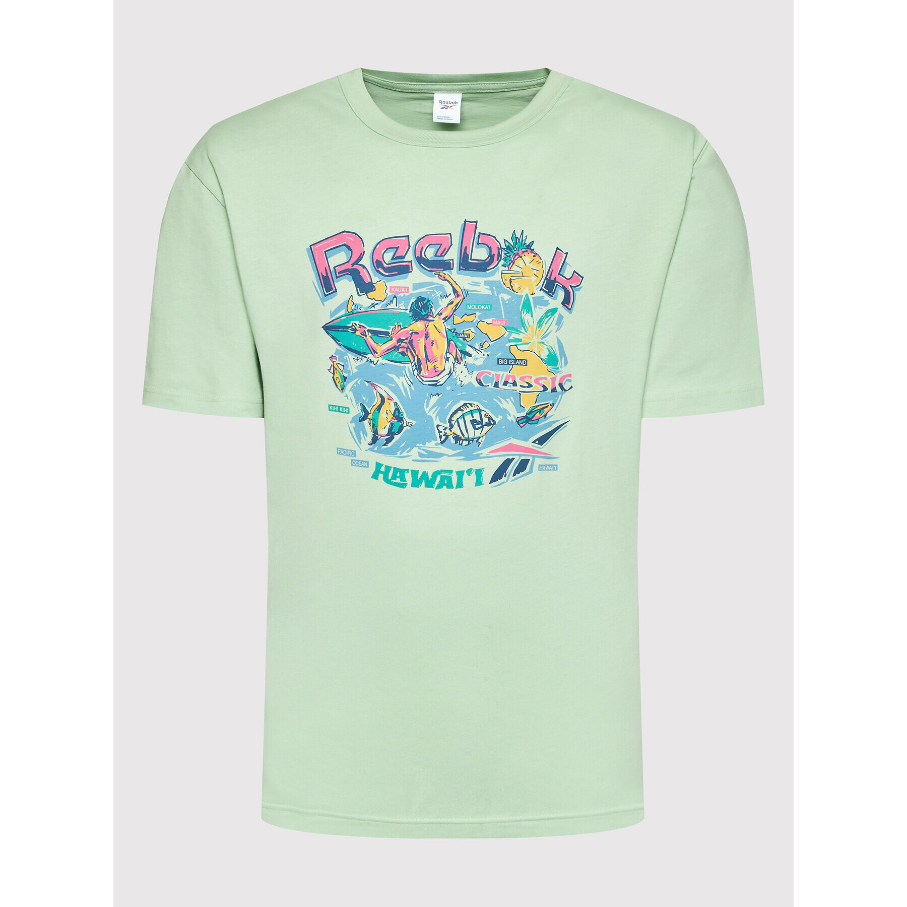 Reebok T-Shirt Classics Destination H54353 Zelená Loose Fit - Pepit.cz