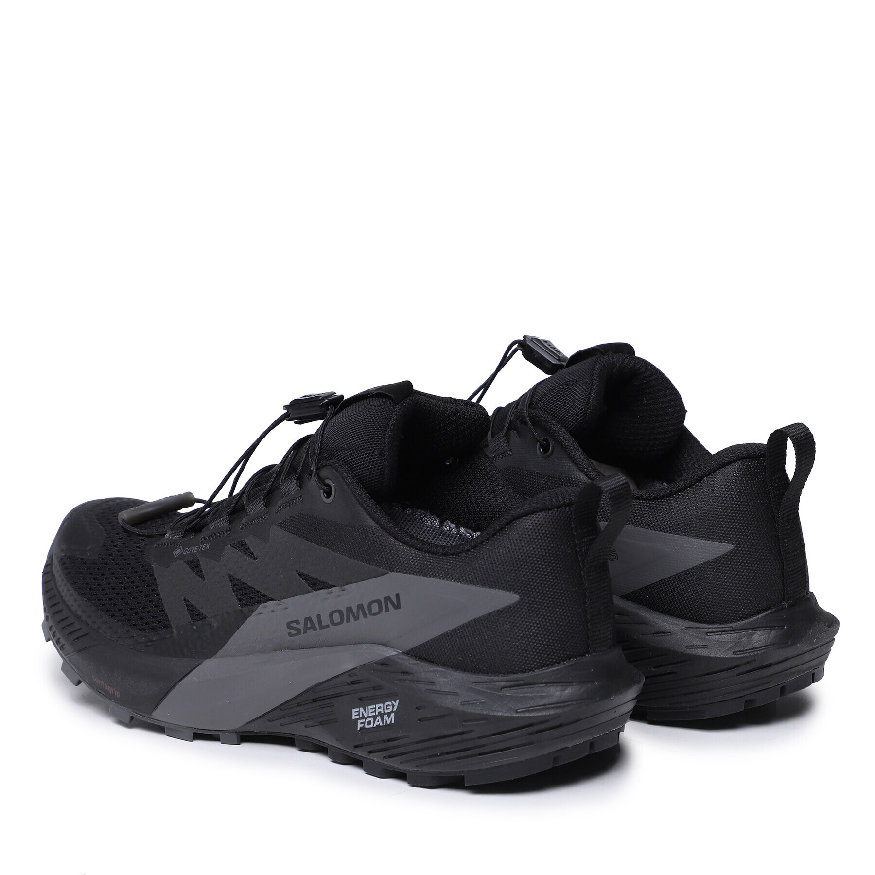 Salomon Boty Sense Ride 5 Gore-Tex L47147600 Černá - Pepit.cz