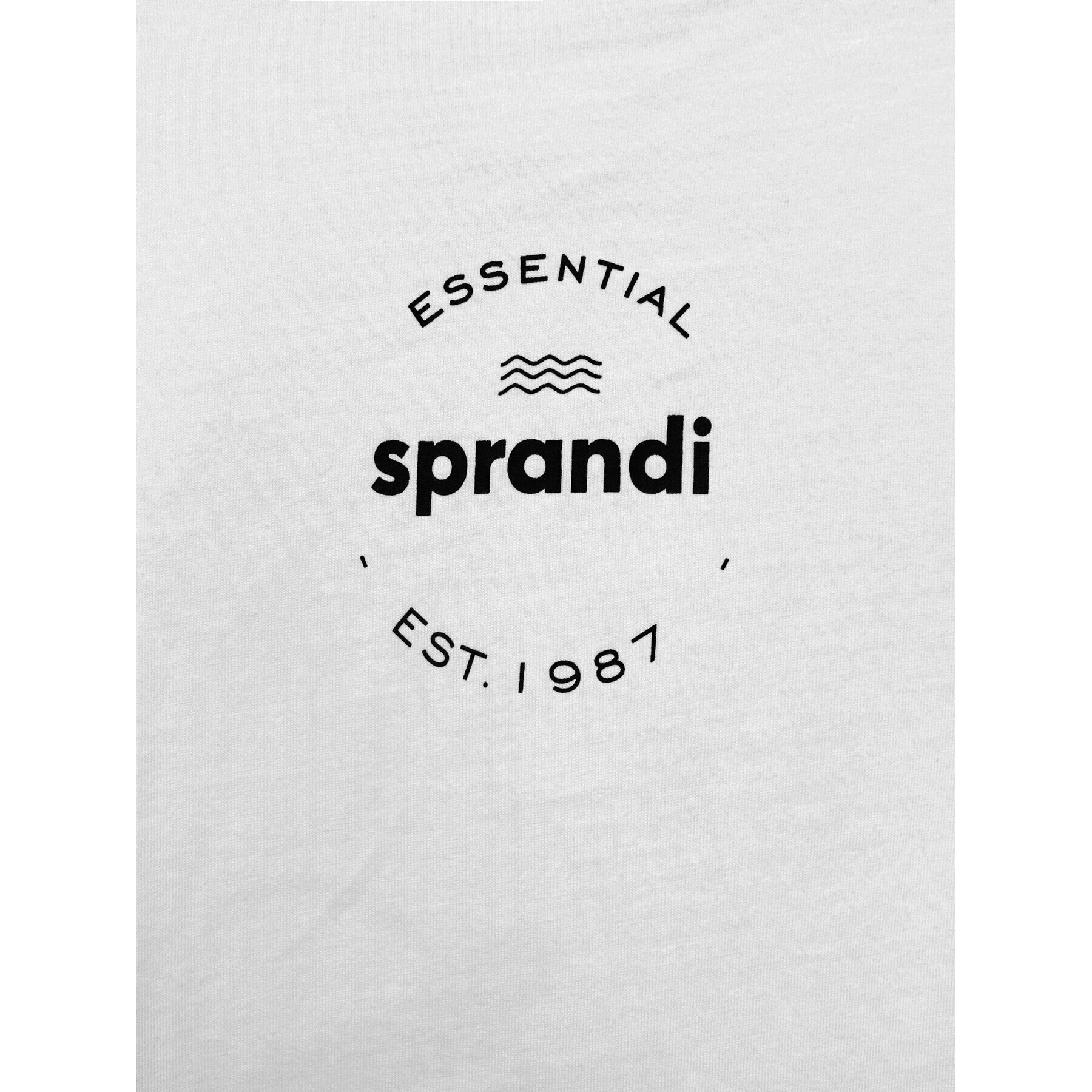 Sprandi T-Shirt SP22-TSM004 Šedá Regular Fit - Pepit.cz