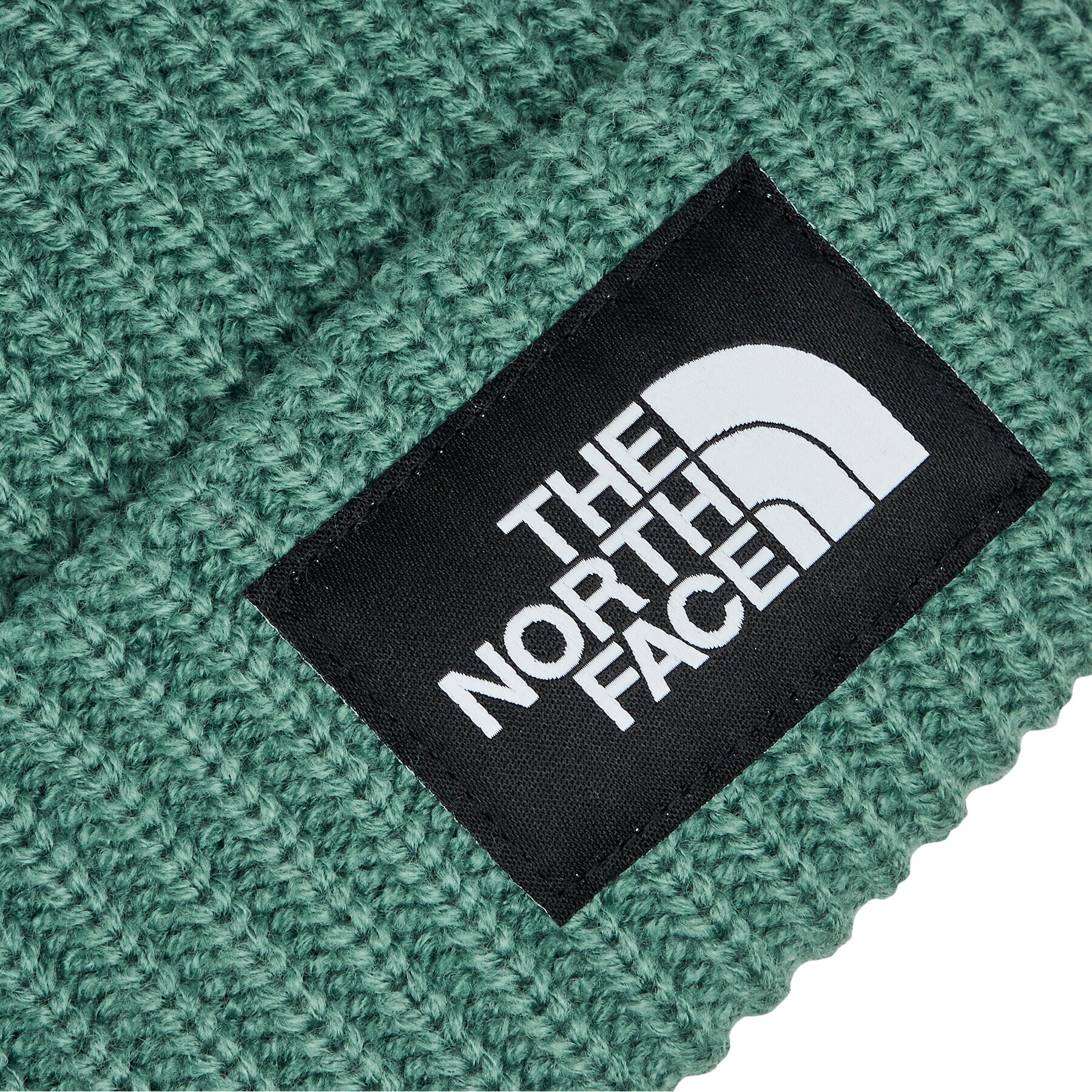 The North Face Čepice Salty Lined BeanieNF0A3FJWI0F1 Zelená - Pepit.cz