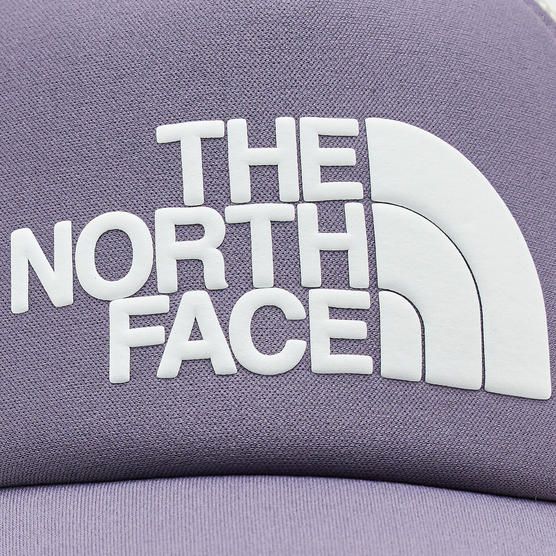 The North Face Kšiltovka Tnf Logo NF0A3FM3N141 Fialová - Pepit.cz