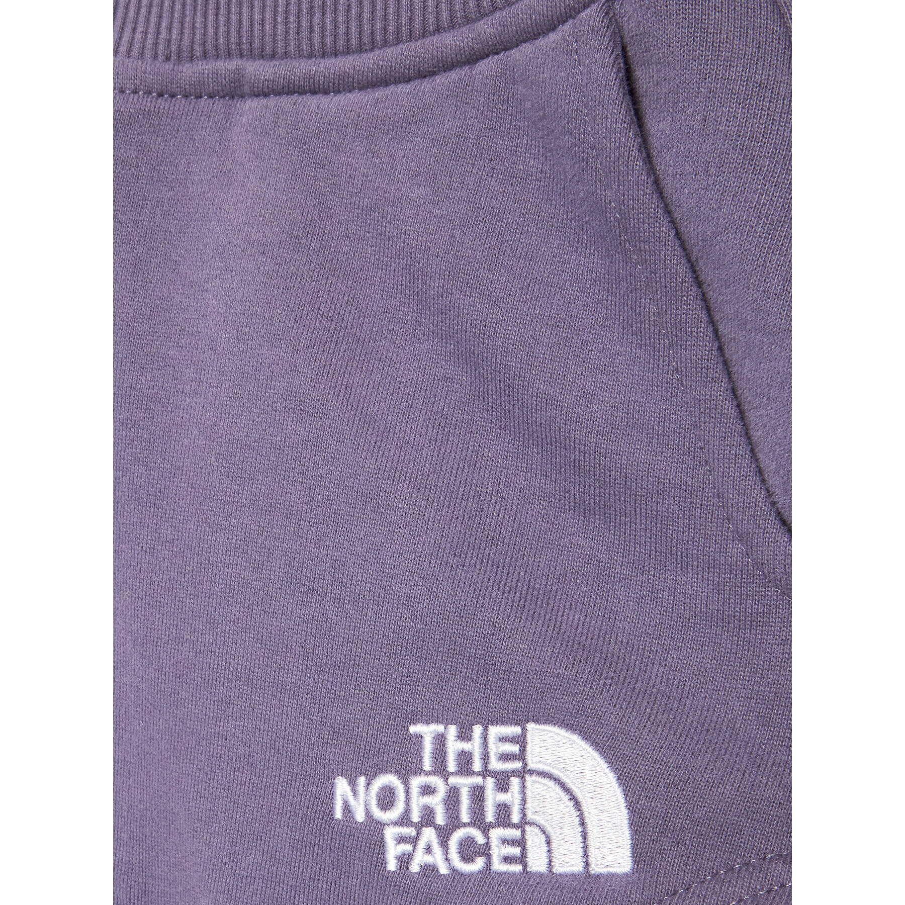 The North Face Sportovní kraťasy NF0A82EK Fialová Regular Fit - Pepit.cz