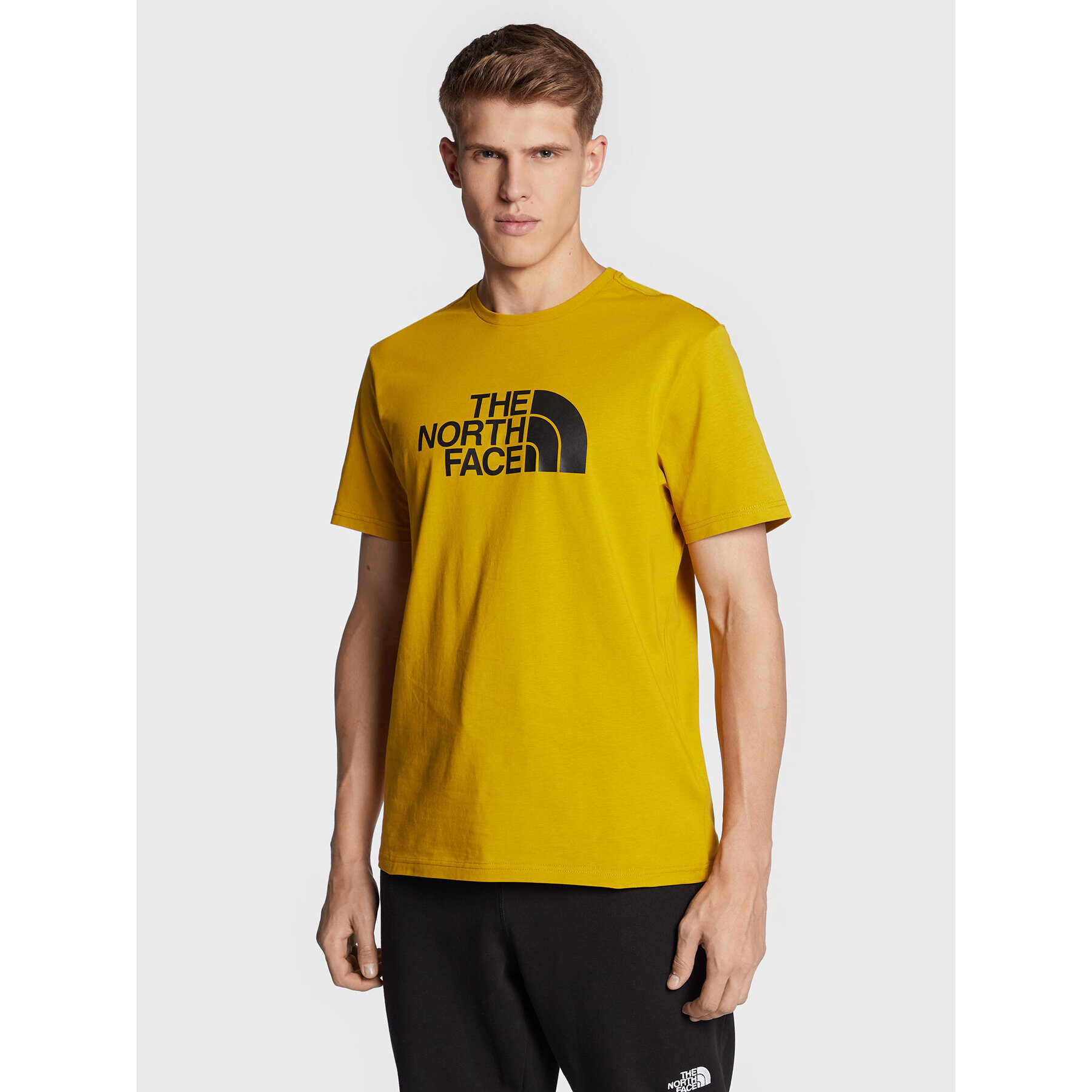 The North Face T-Shirt Easy NF0A2TX3 Žlutá Regular Fit - Pepit.cz