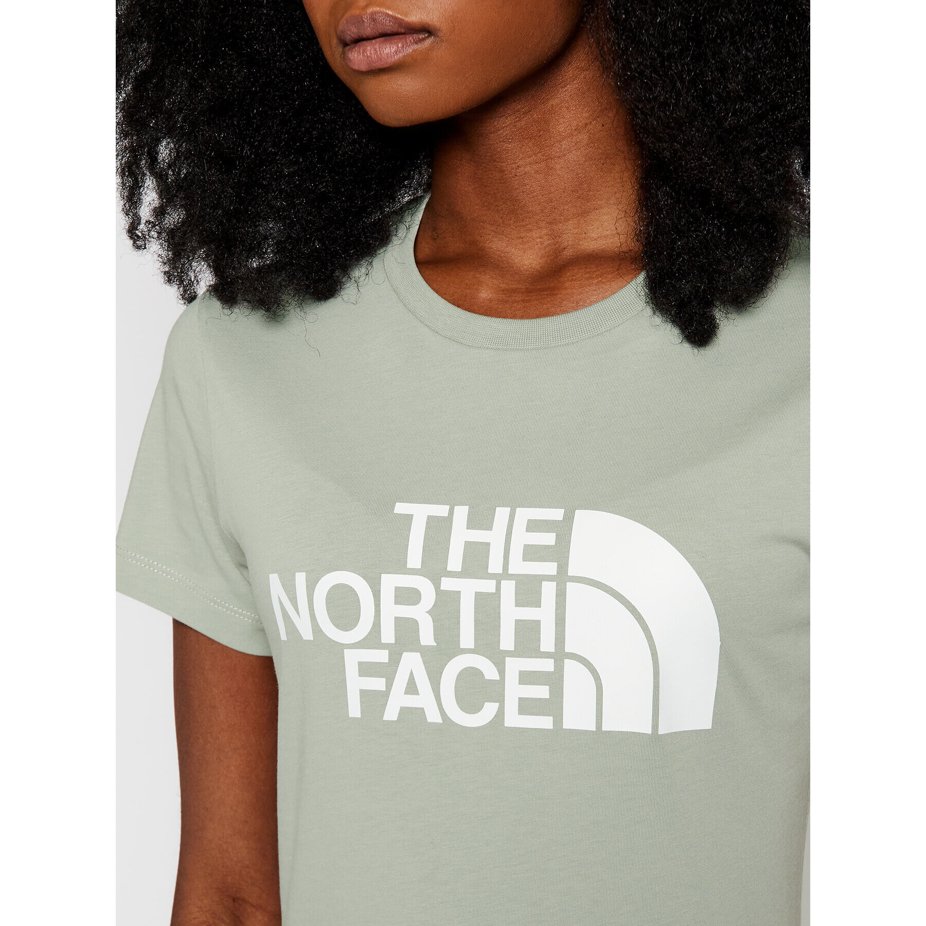 The North Face T-Shirt Easy NF0A4T1Q Zelená Regular Fit - Pepit.cz