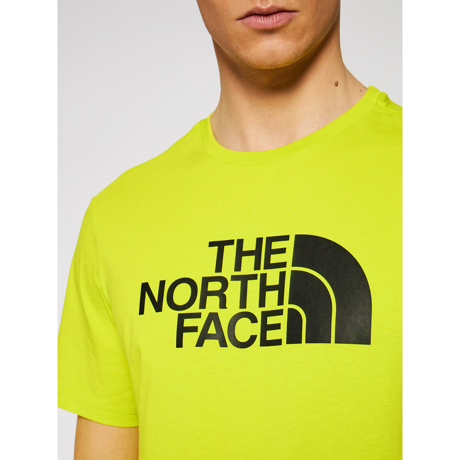 The North Face T-Shirt Easy Tee NF0A2TX3 Zelená Regular Fit - Pepit.cz