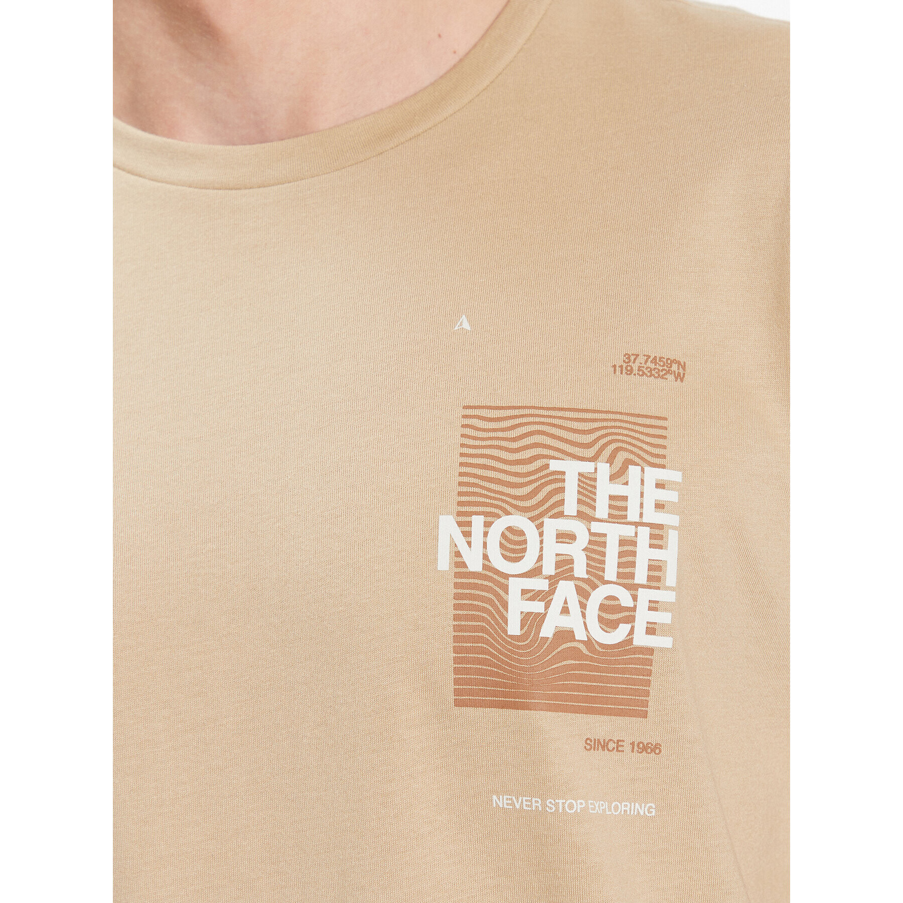 The North Face T-Shirt Foundation Graphic NF0A55EF Khaki Regular Fit - Pepit.cz