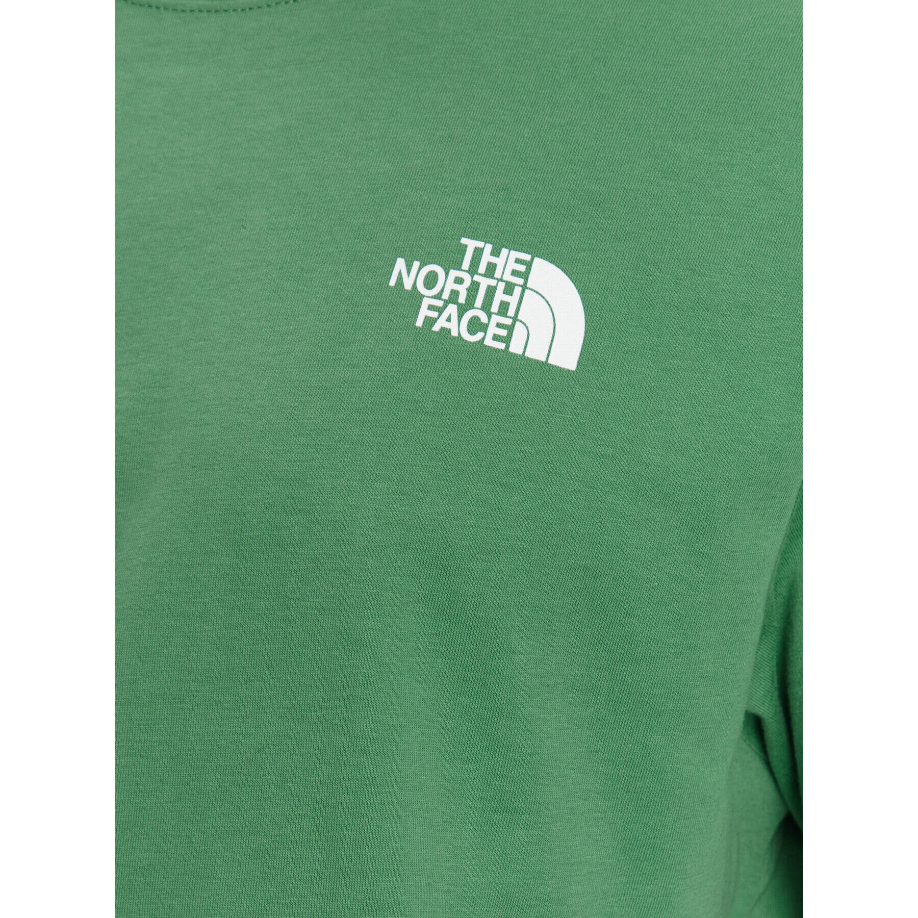 The North Face T-Shirt Red Box NF0A2TX2 Zelená Regular Fit - Pepit.cz