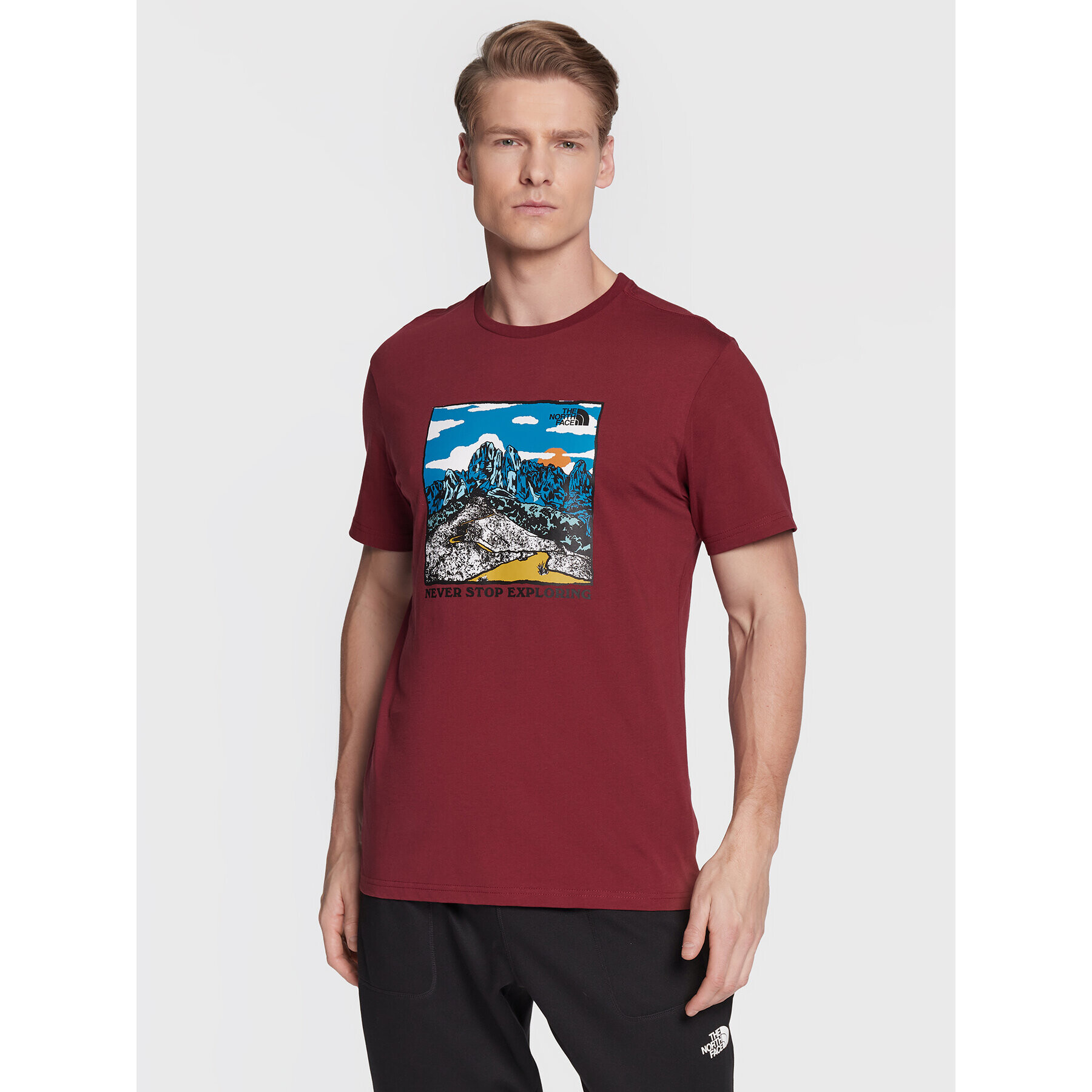 The North Face T-Shirt Seasonal Graphic NF0A7X1O Bordó Regular Fit - Pepit.cz