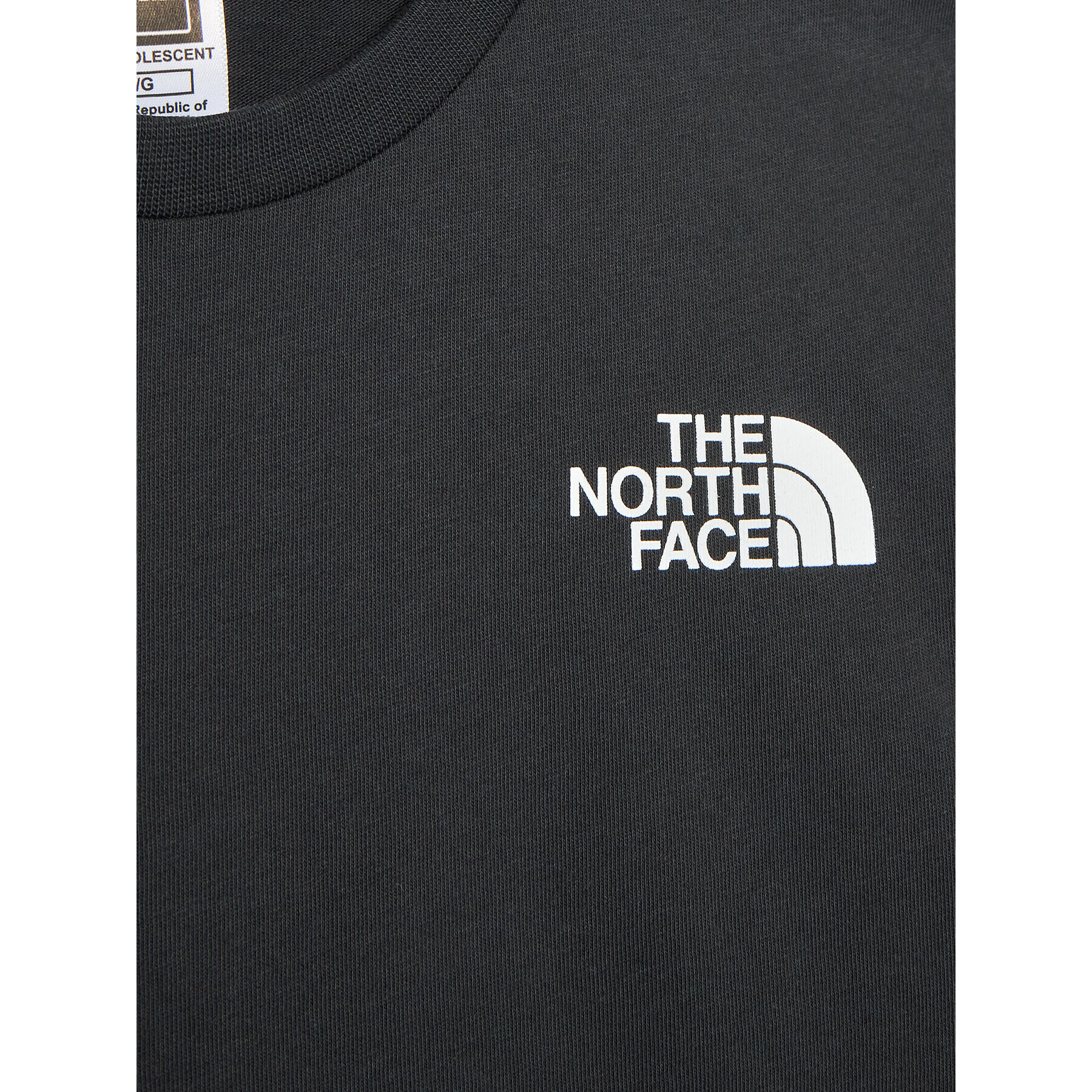 The North Face T-Shirt Simple Dome NF0A82EA Šedá Regular Fit - Pepit.cz