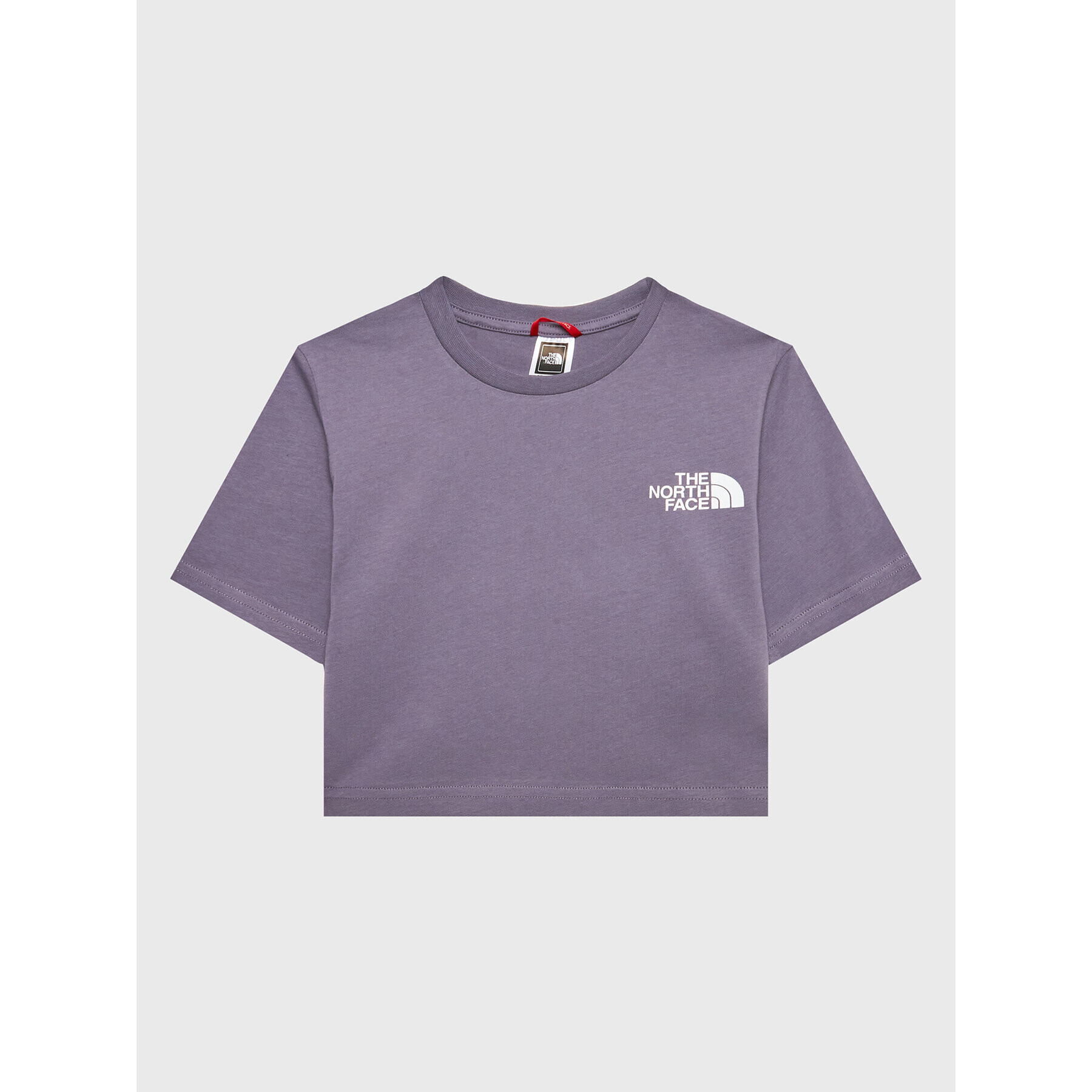 The North Face T-Shirt Simple Dome NF0A82EC Fialová Regular Fit - Pepit.cz