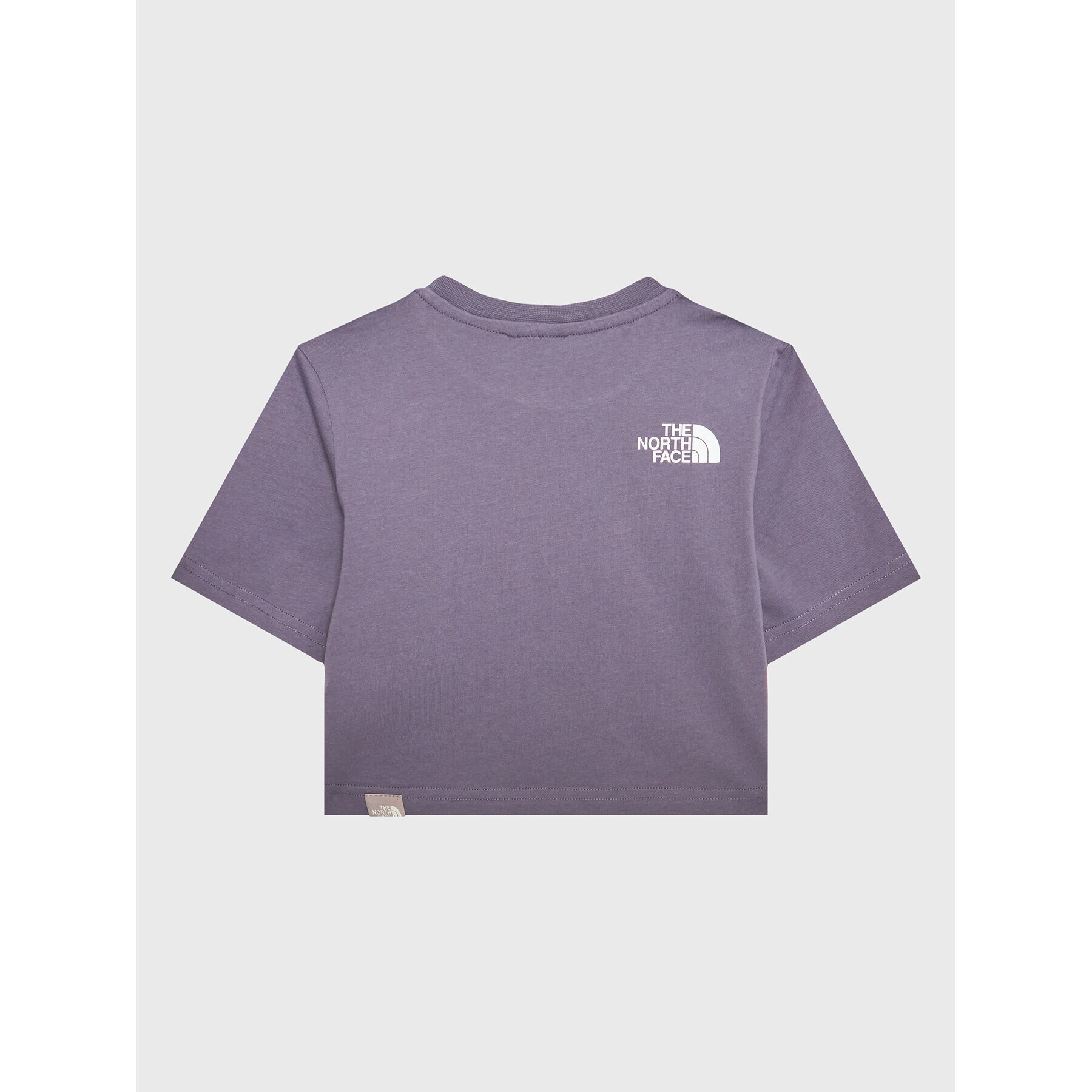 The North Face T-Shirt Simple Dome NF0A82EC Fialová Regular Fit - Pepit.cz