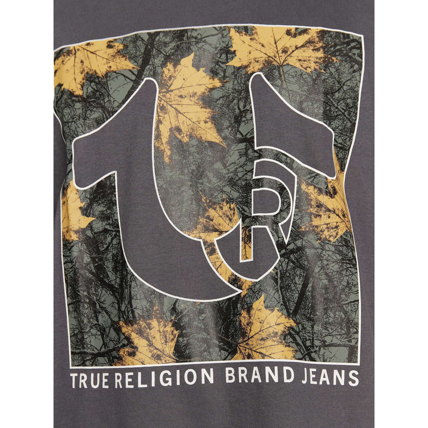 True Religion T-Shirt 106299 Šedá Regular Fit - Pepit.cz